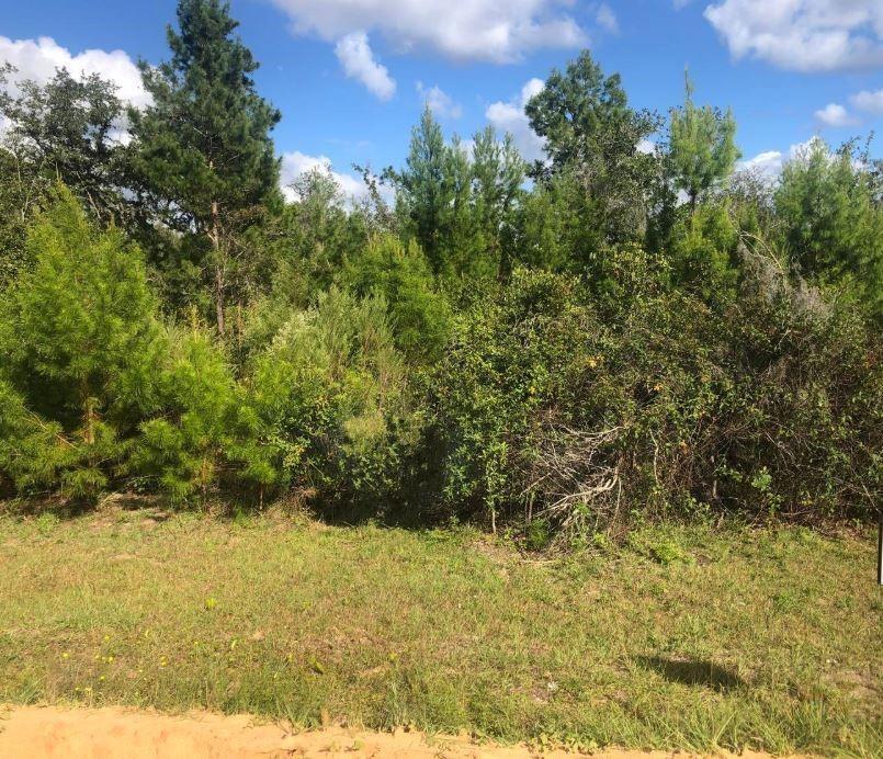  / 0  sq. ft. $ 2026-06-19 0 Photo