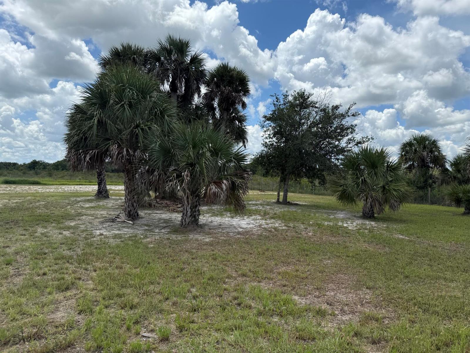   / 0  sq. ft. $ 2026-03-06 0 foto