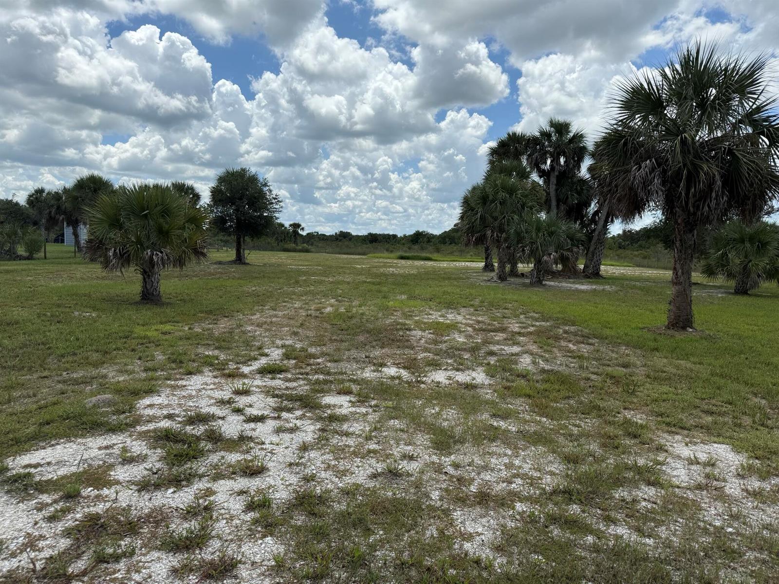   / 0  sq. ft. $ 2026-03-06 0 foto