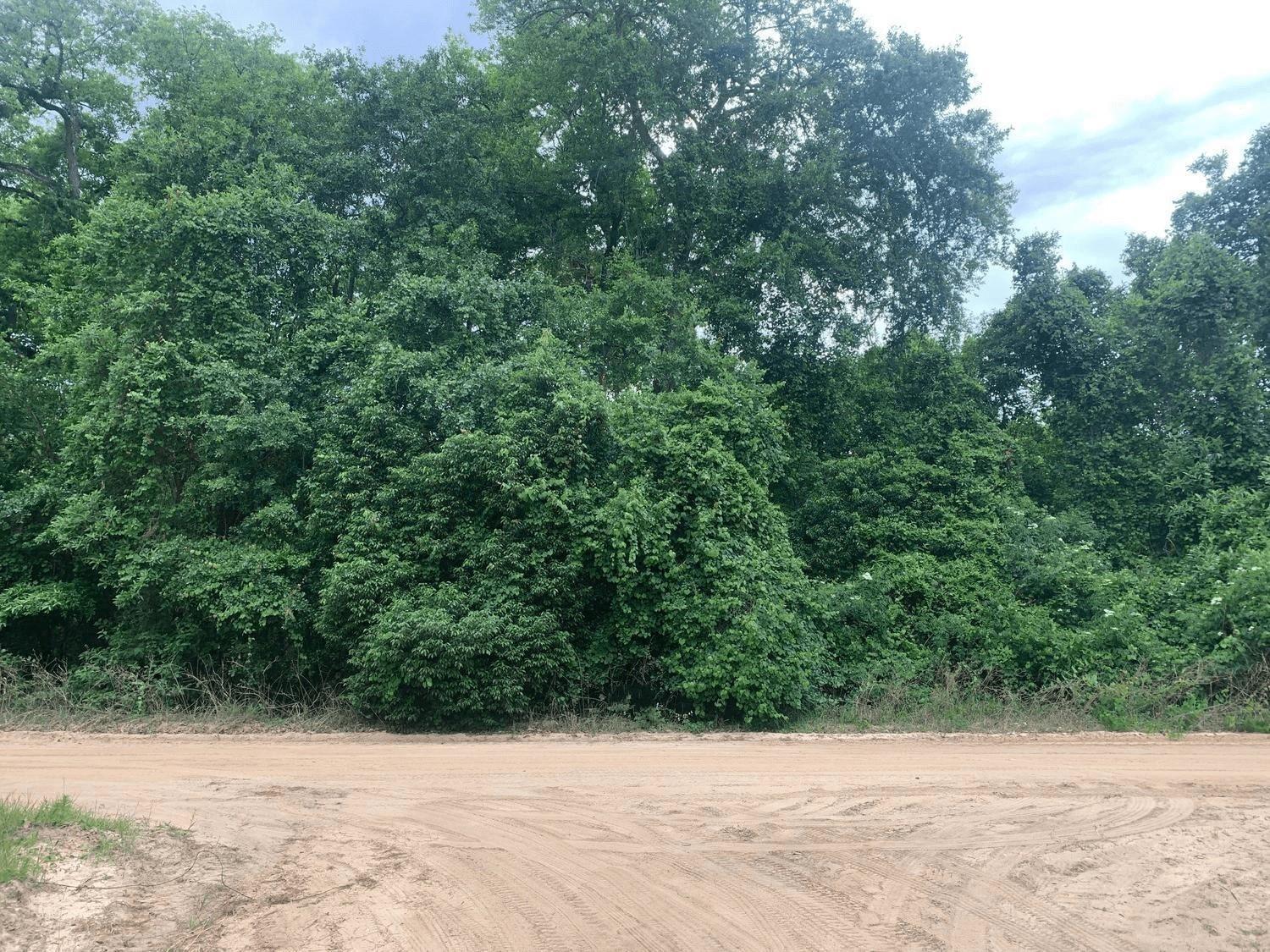   / 0  sq. ft. $ 2026-06-19 0 foto