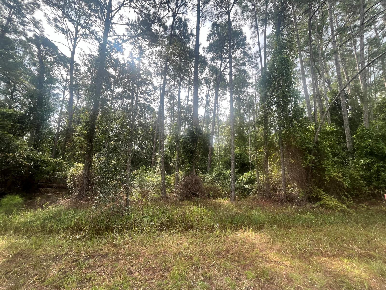   / 0  sq. ft. $ 2025-11-18 0 foto