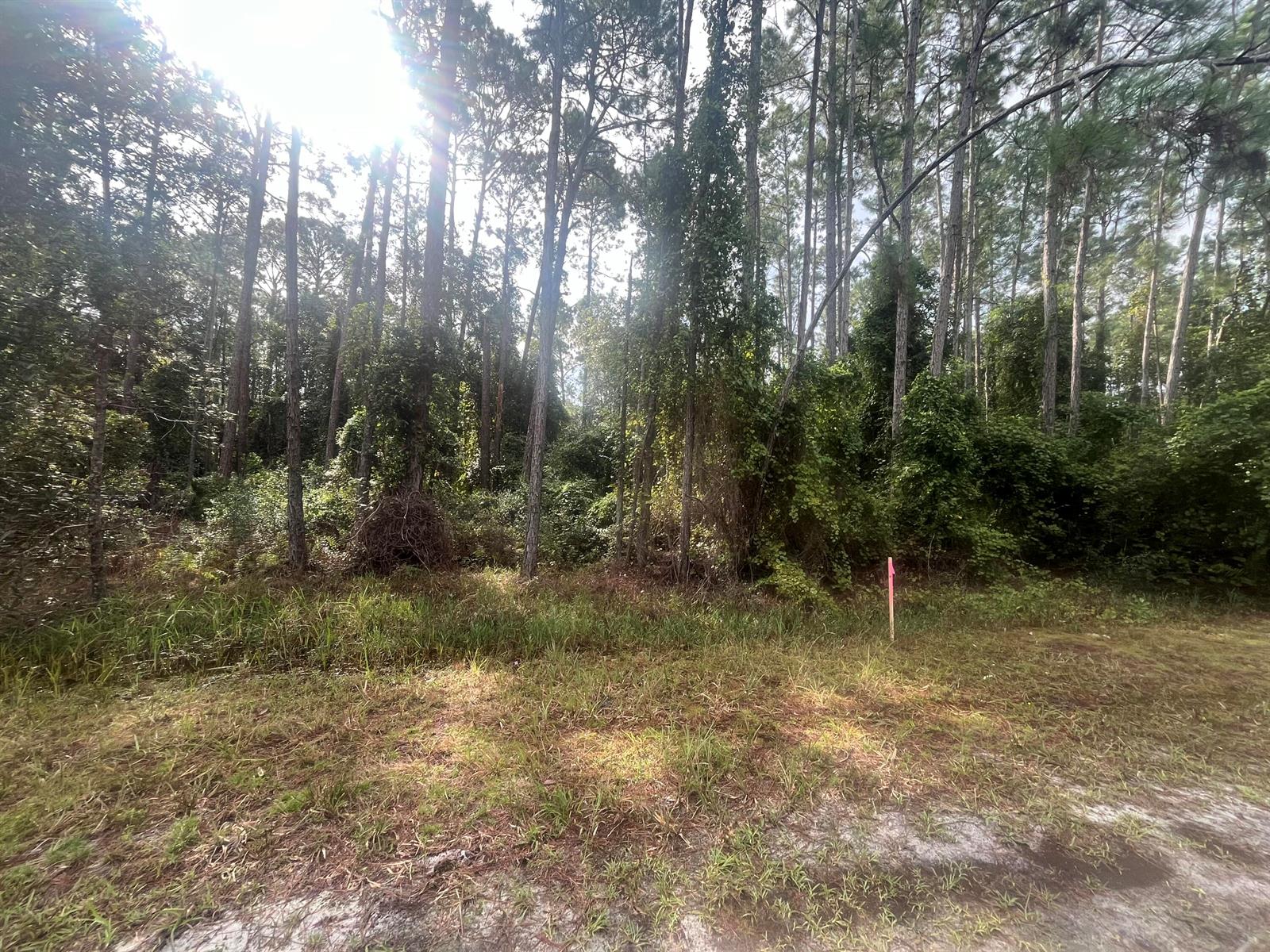   / 0  sq. ft. $ 2025-11-18 0 foto