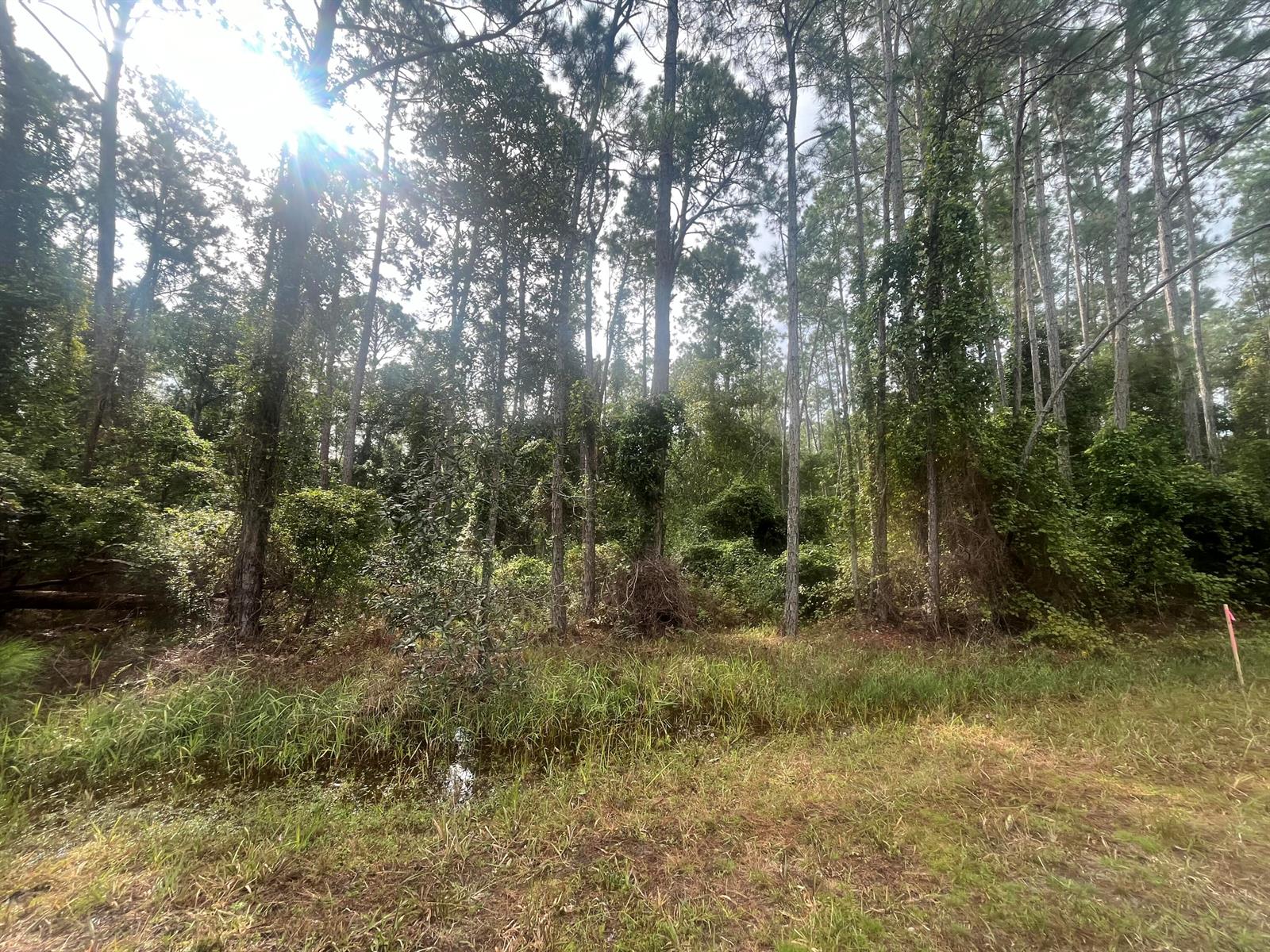   / 0  sq. ft. $ 2025-11-18 0 foto