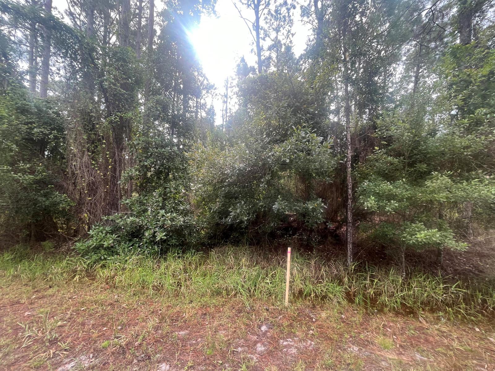   / 0  sq. ft. $ 2025-11-18 0 foto