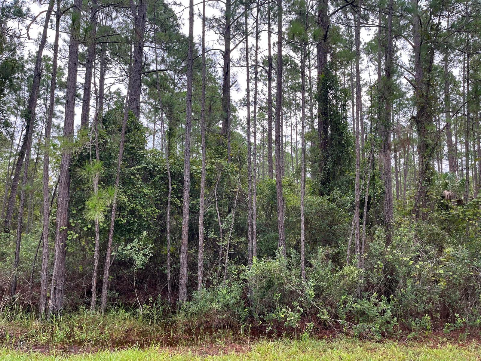 See details / 0 sq. ft. $ 2025-11-18 0 Photo