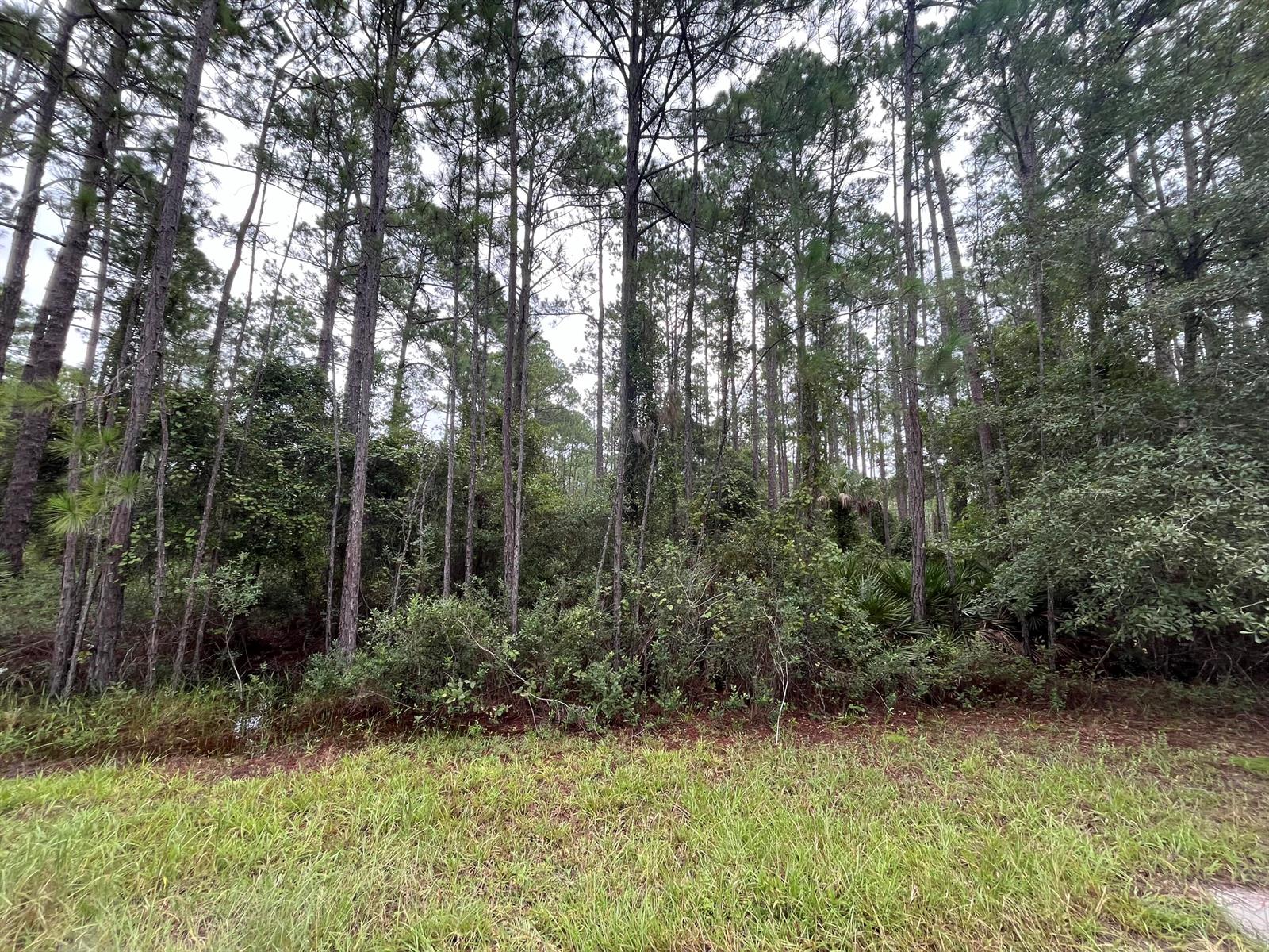 See details / 0 sq. ft. $ 2025-11-18 0 Photo