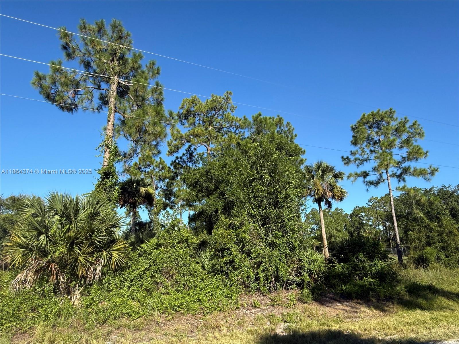 See details / sq. ft. $ 2025-08-23 0 Photo