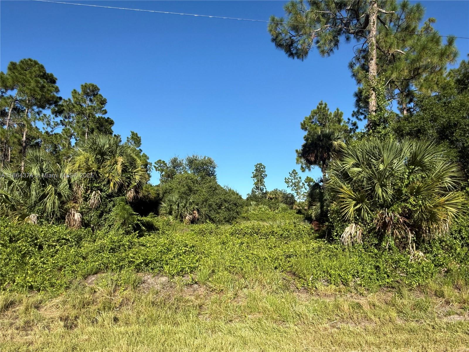 See details / sq. ft. $ 2025-08-23 0 Photo