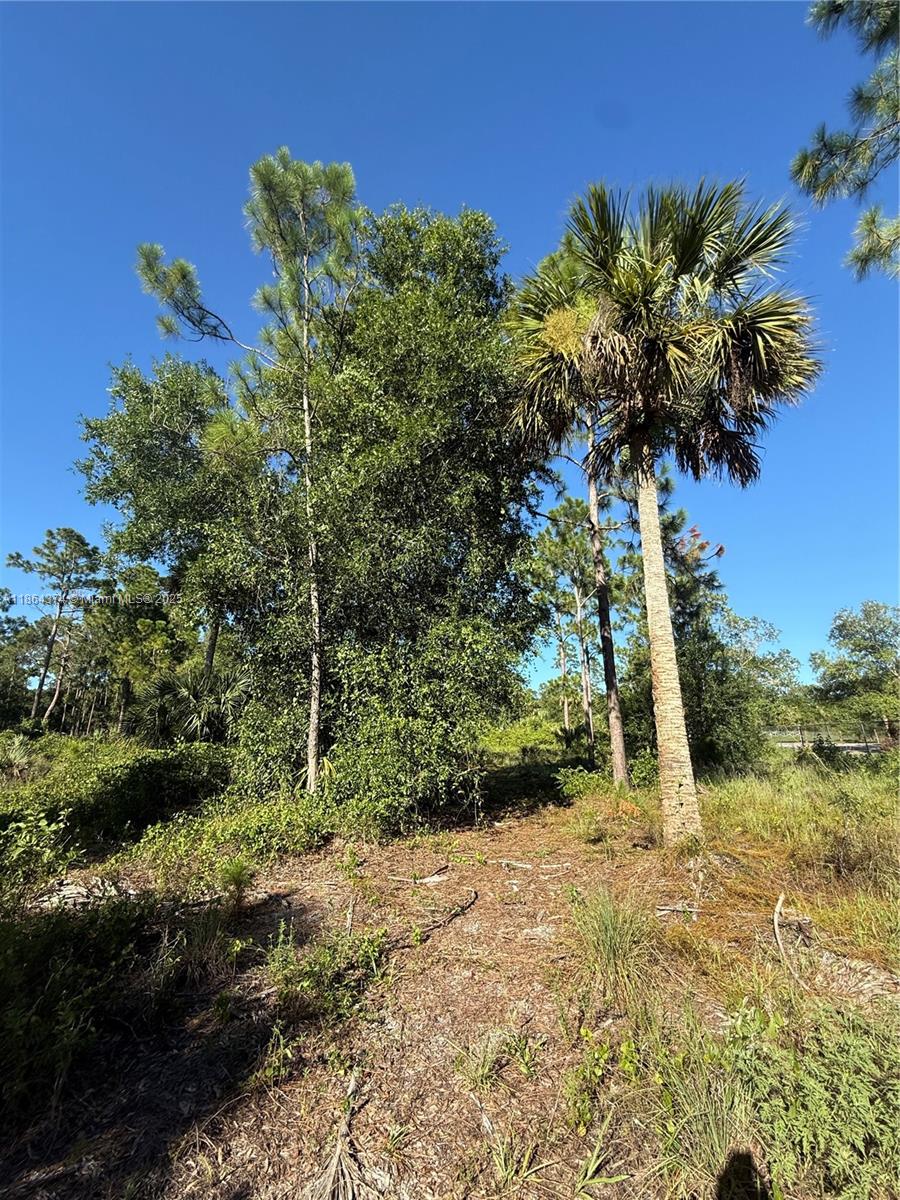 See details / sq. ft. $ 2025-08-23 0 Photo