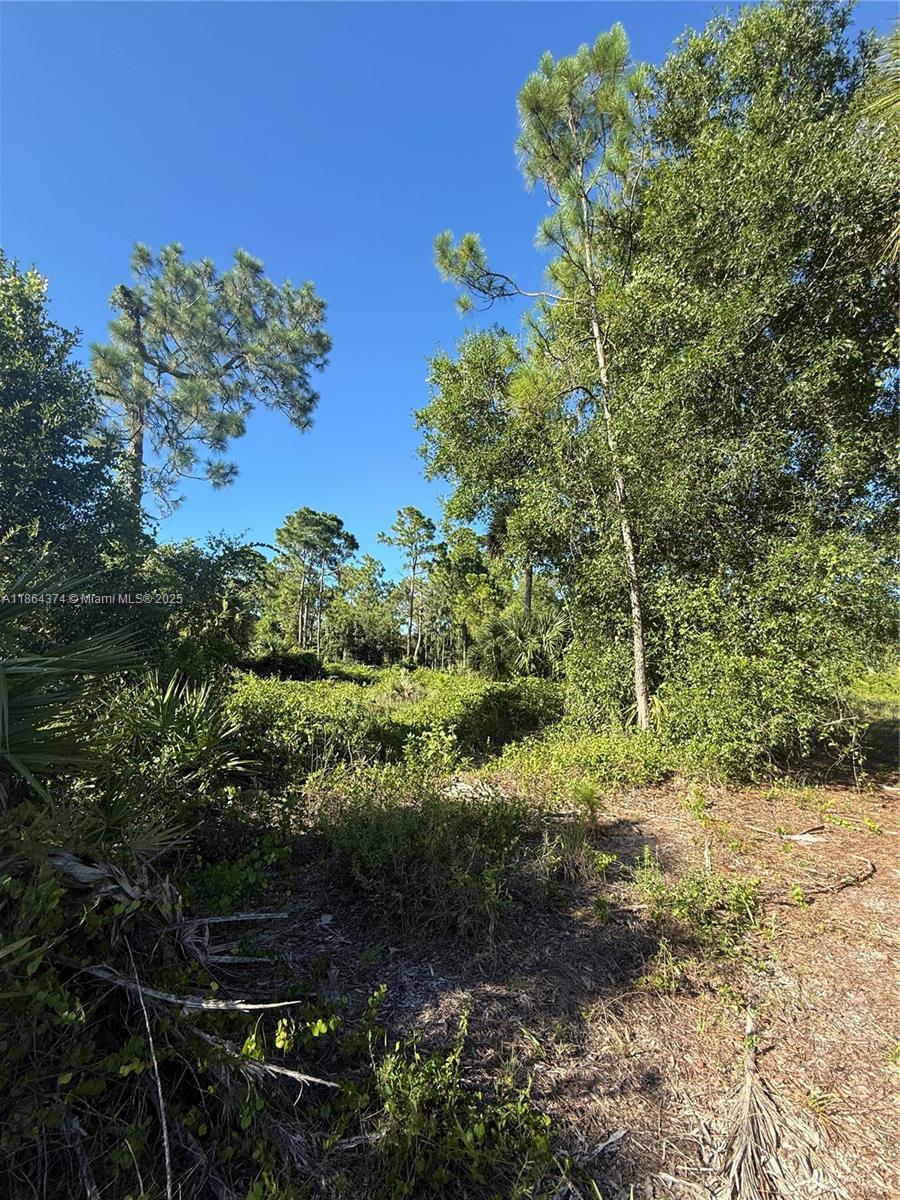 See details / sq. ft. $ 2025-08-23 0 Photo
