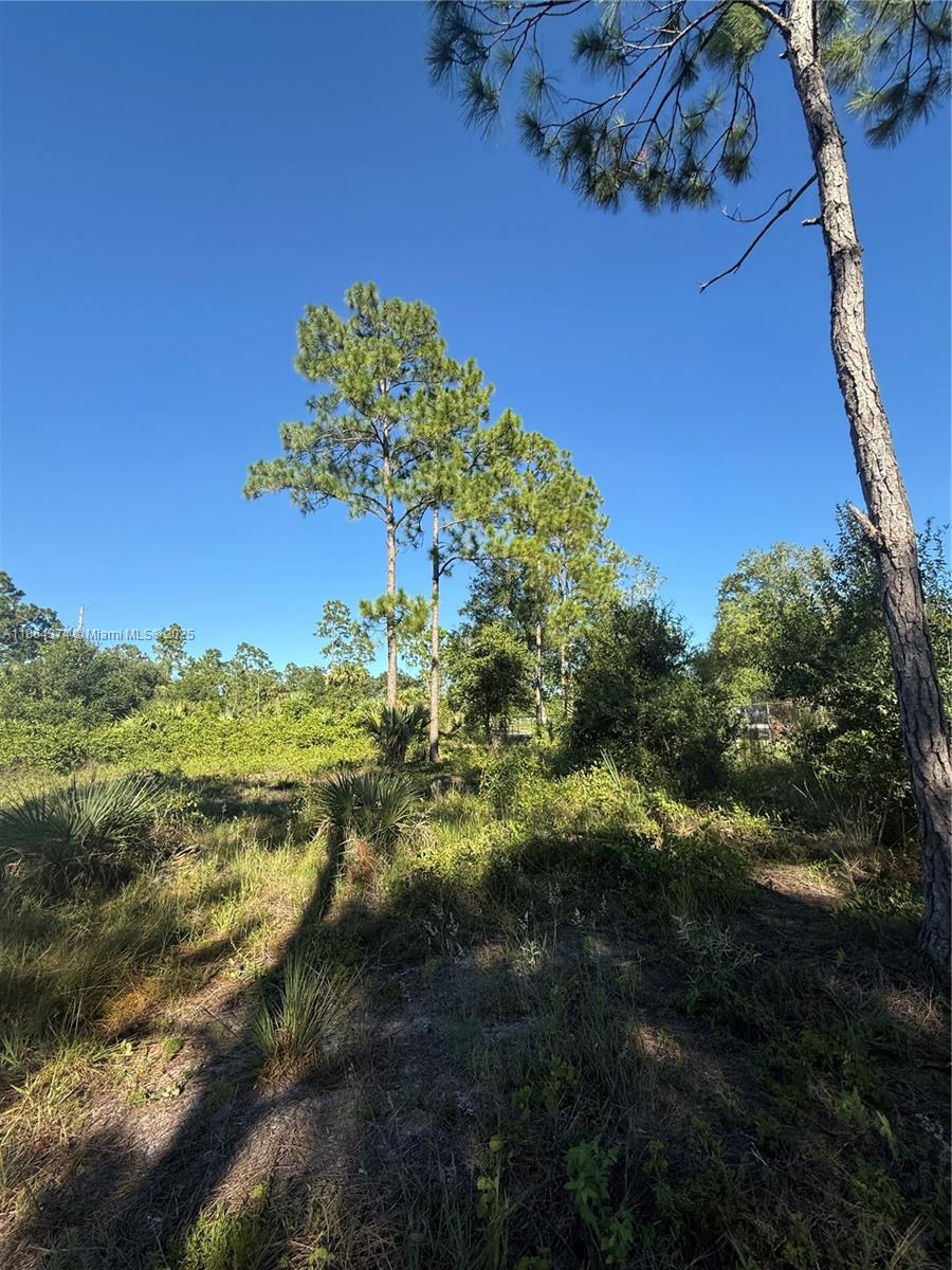 See details / sq. ft. $ 2025-08-23 0 Photo