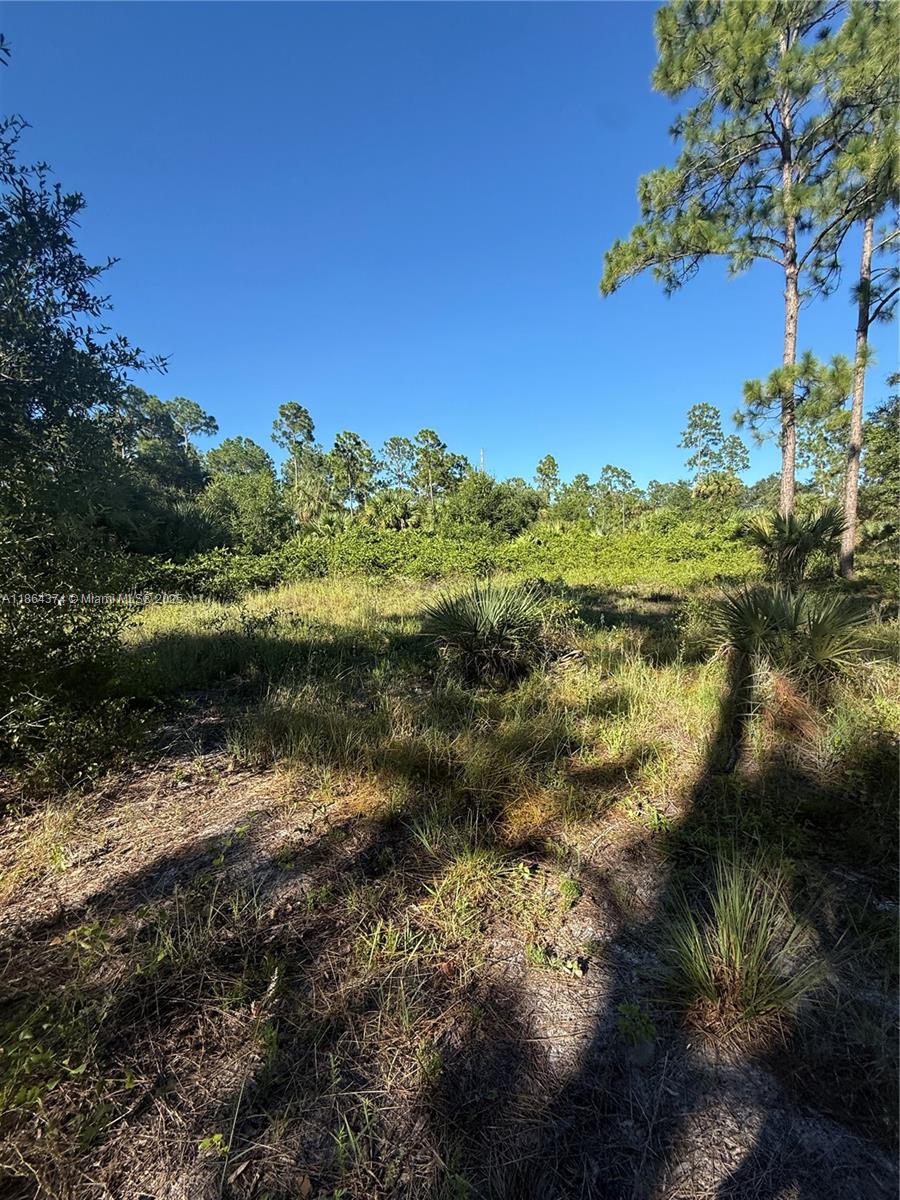 See details / sq. ft. $ 2025-08-23 0 Photo