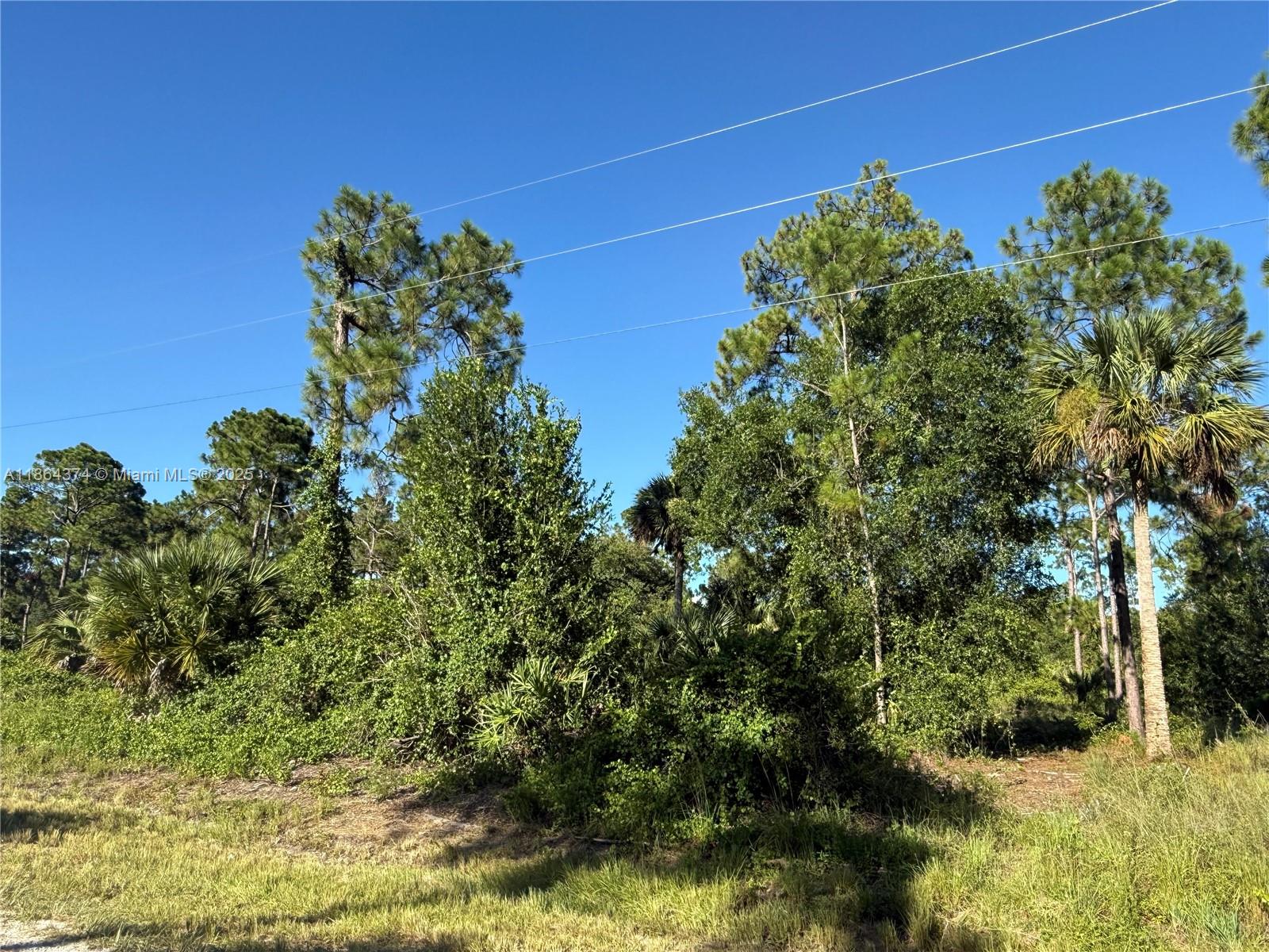 See details / sq. ft. $ 2025-08-23 0 Photo