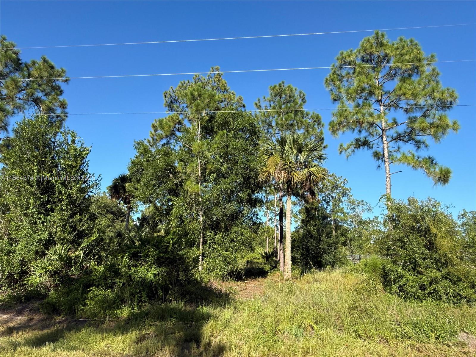 See details / sq. ft. $ 2025-08-23 0 Photo