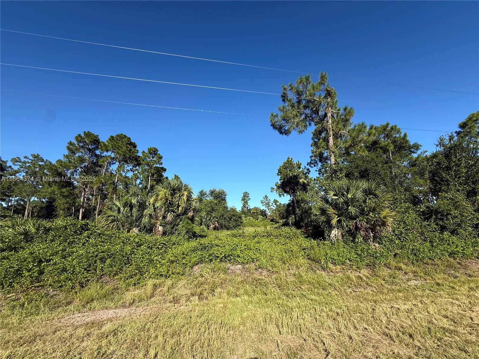 See details / sq. ft. $ 2025-08-23 0 Photo