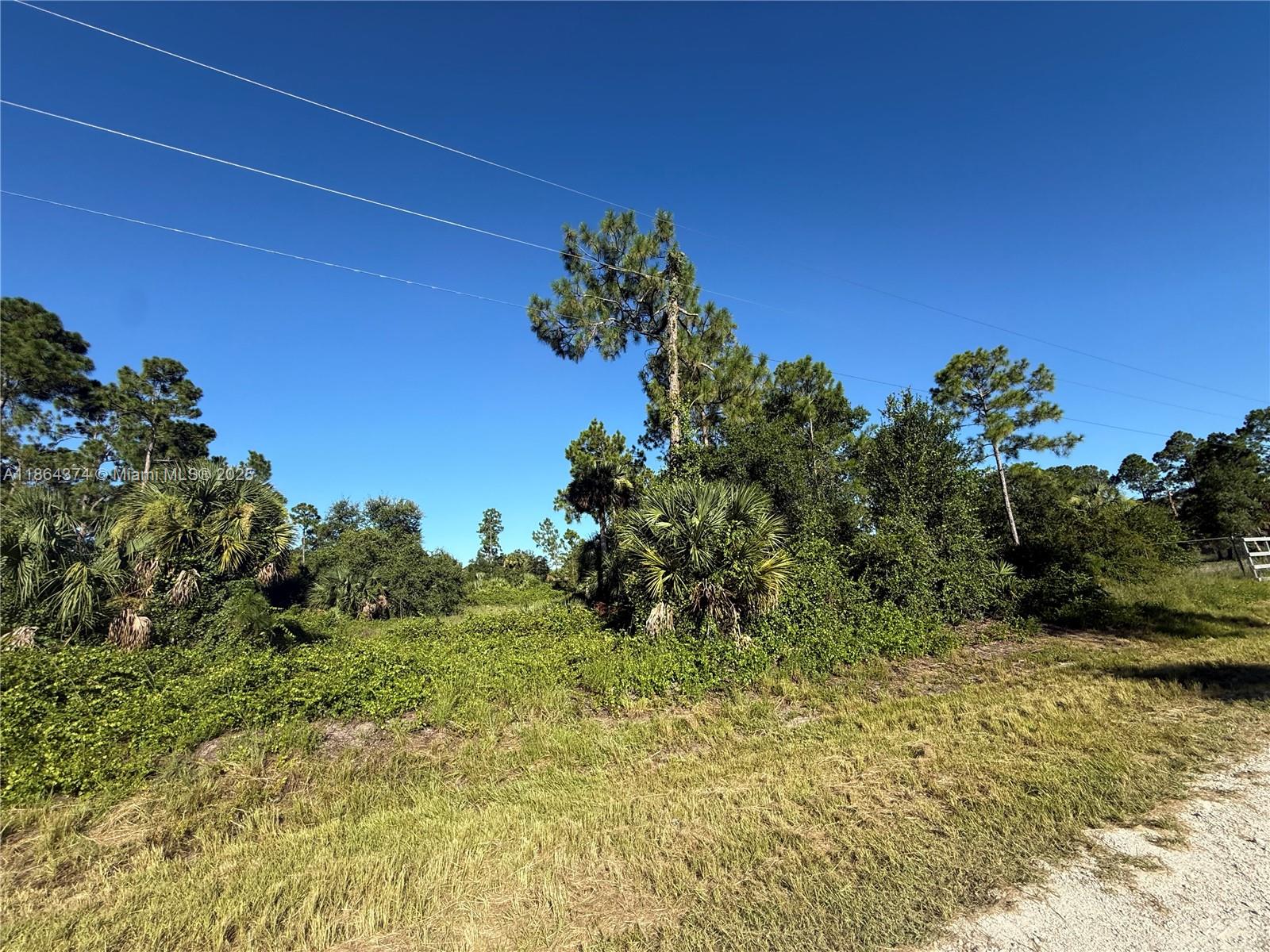 See details / sq. ft. $ 2025-08-23 0 Photo