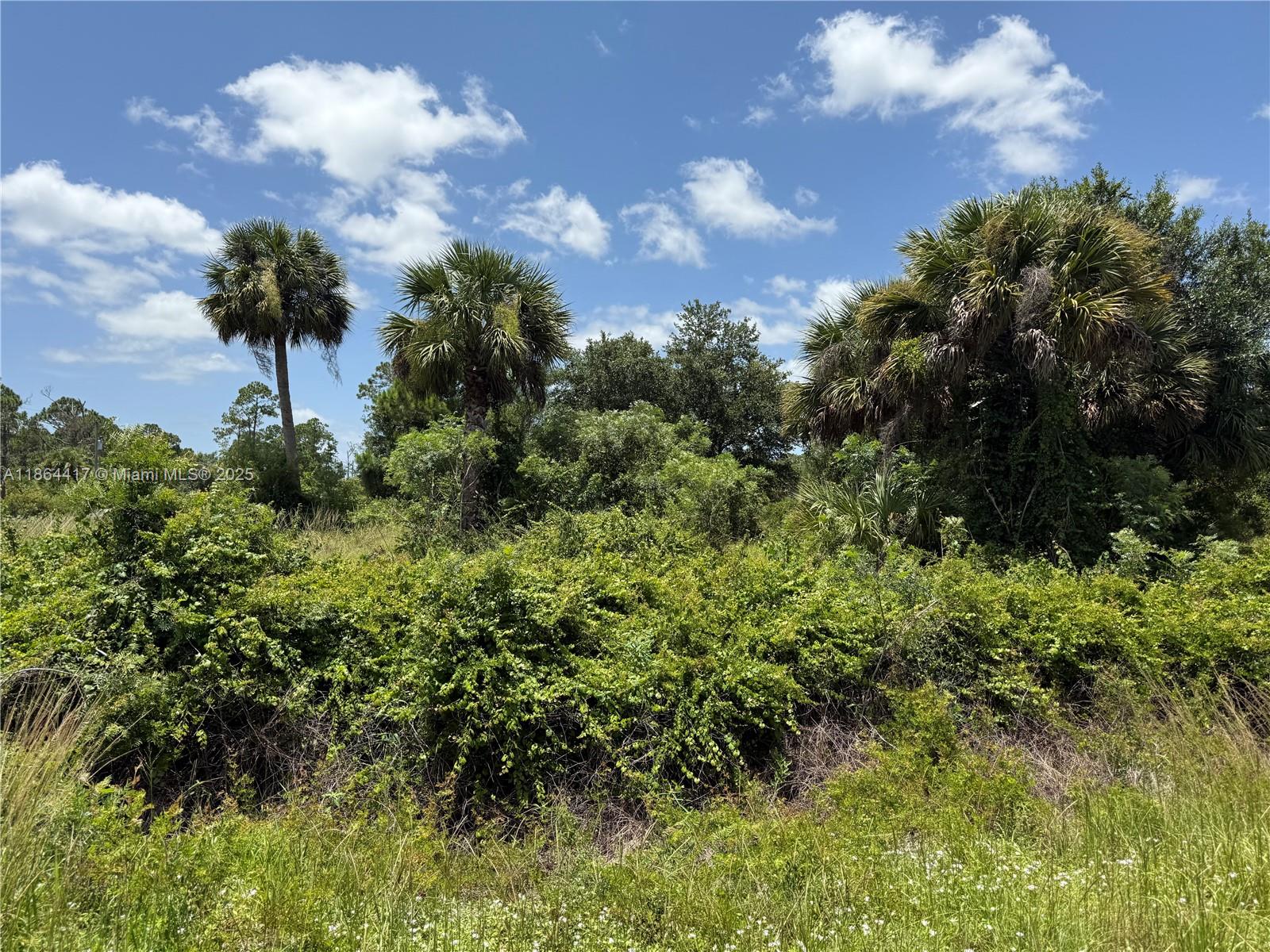 See details / sq. ft. $ 2025-08-23 0 Photo