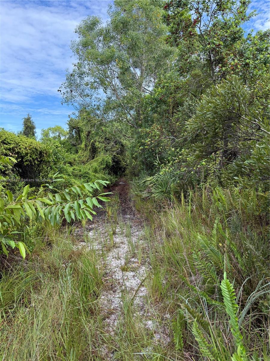 See details / sq. ft. $ 2025-08-25 0 Photo