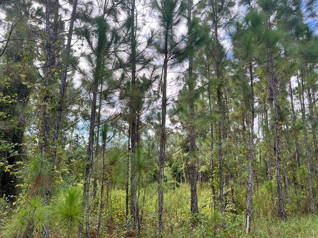   / 0  sq. ft. $ 2026-03-12 0 Photo