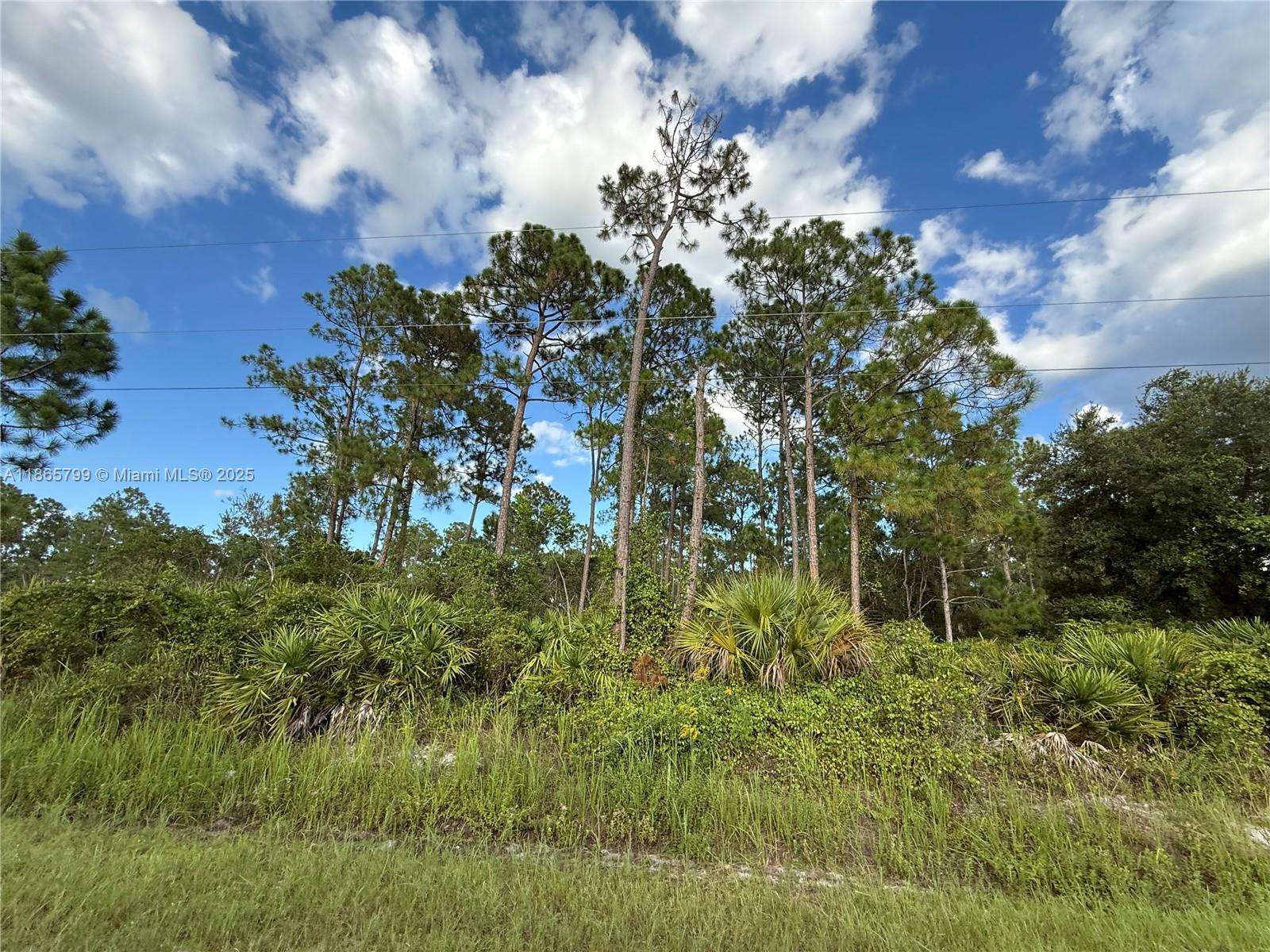 See details / sq. ft. $ 2025-08-26 0 Photo