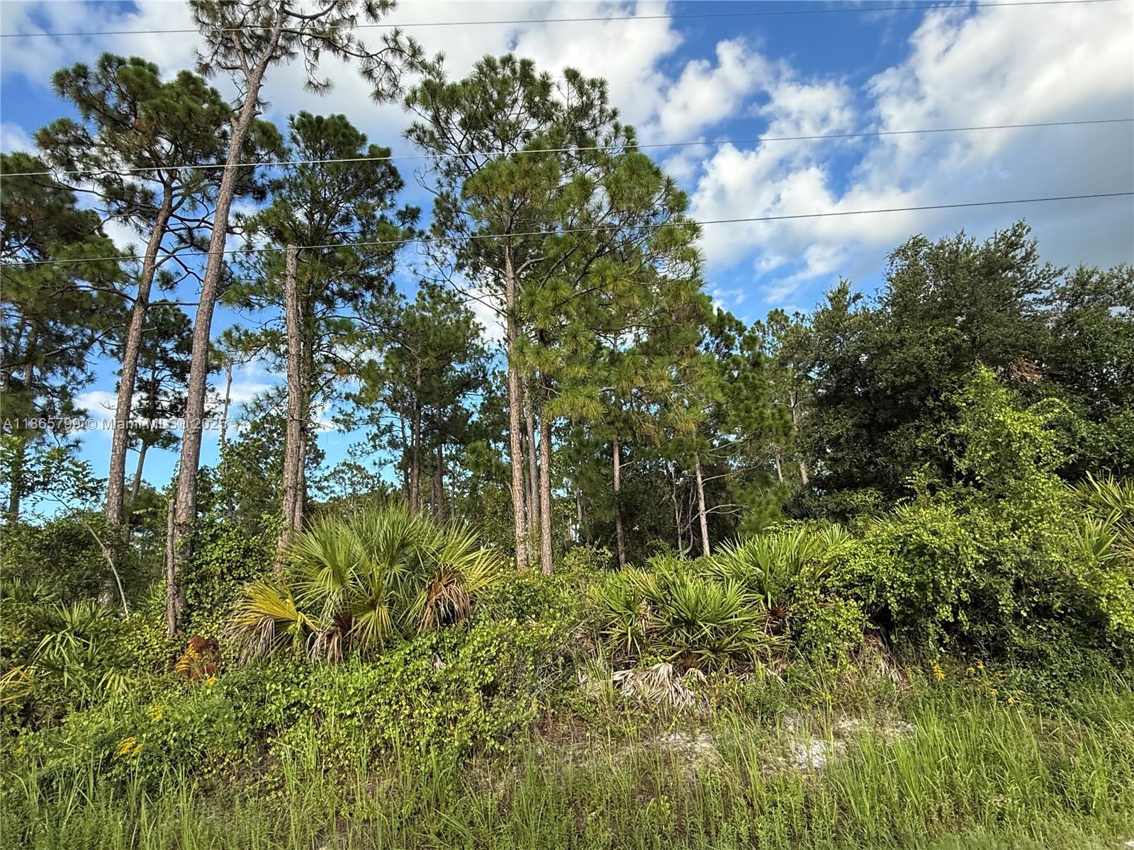 See details / sq. ft. $ 2025-08-26 0 Photo