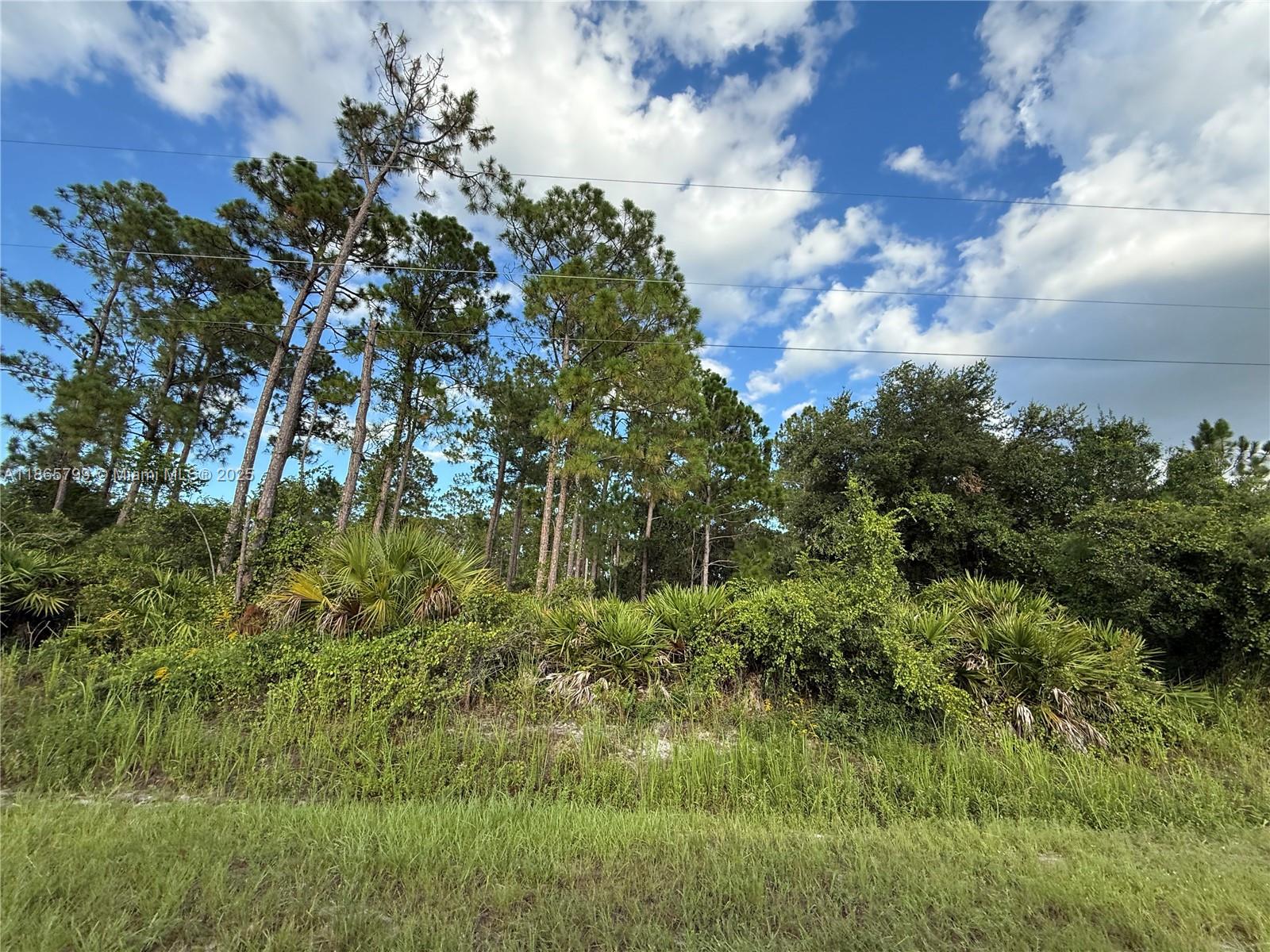 See details / sq. ft. $ 2025-08-26 0 Photo