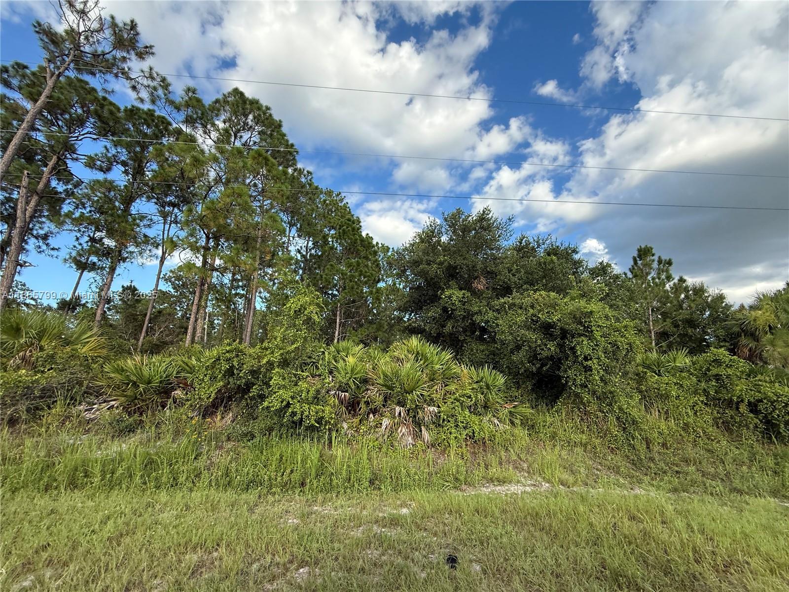 See details / sq. ft. $ 2025-08-26 0 Photo