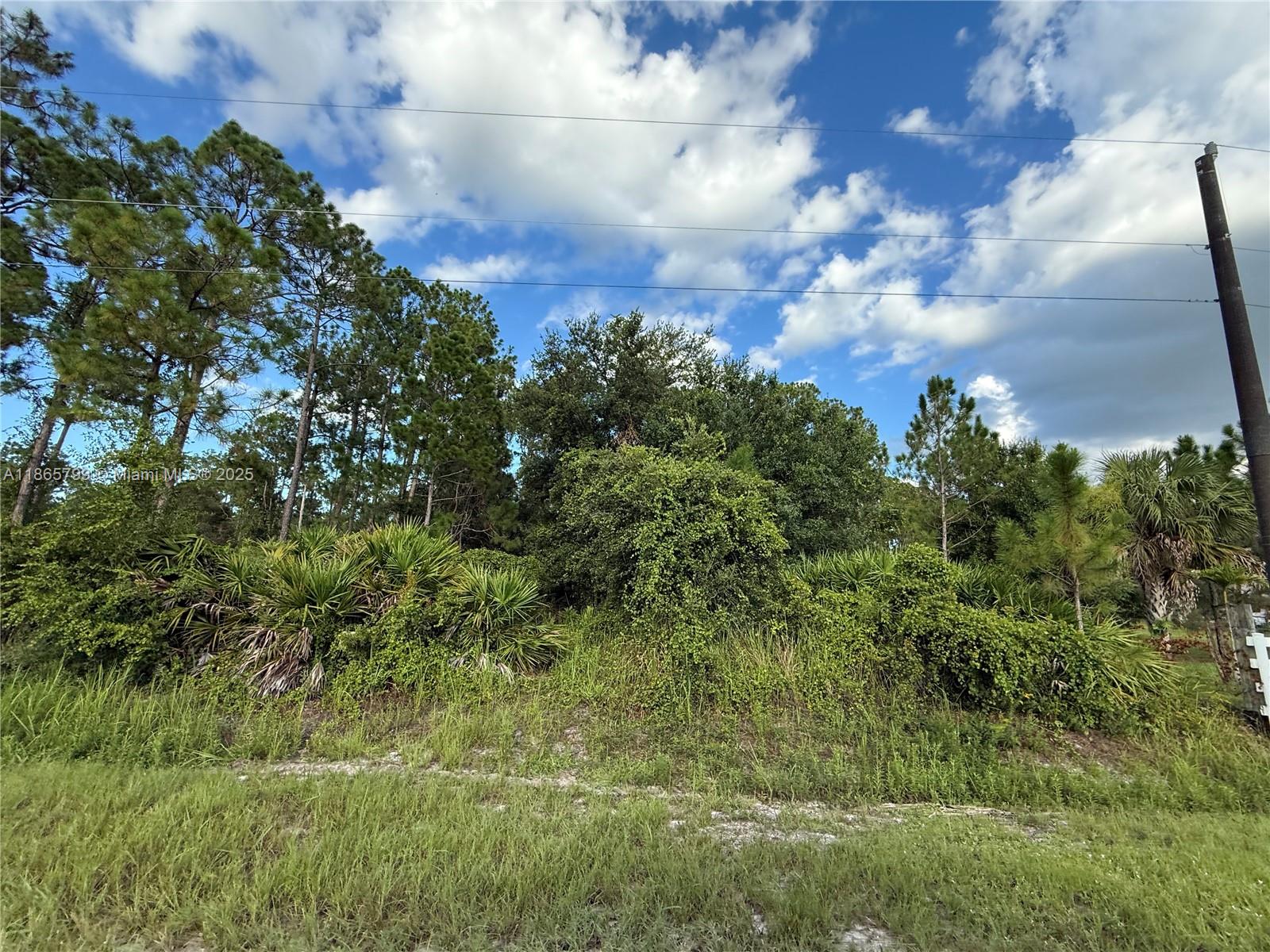 See details / sq. ft. $ 2025-08-26 0 Photo