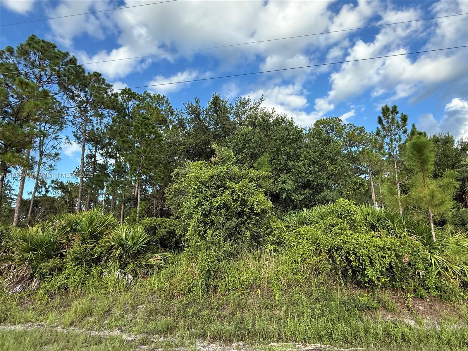 See details / sq. ft. $ 2025-08-26 0 Photo