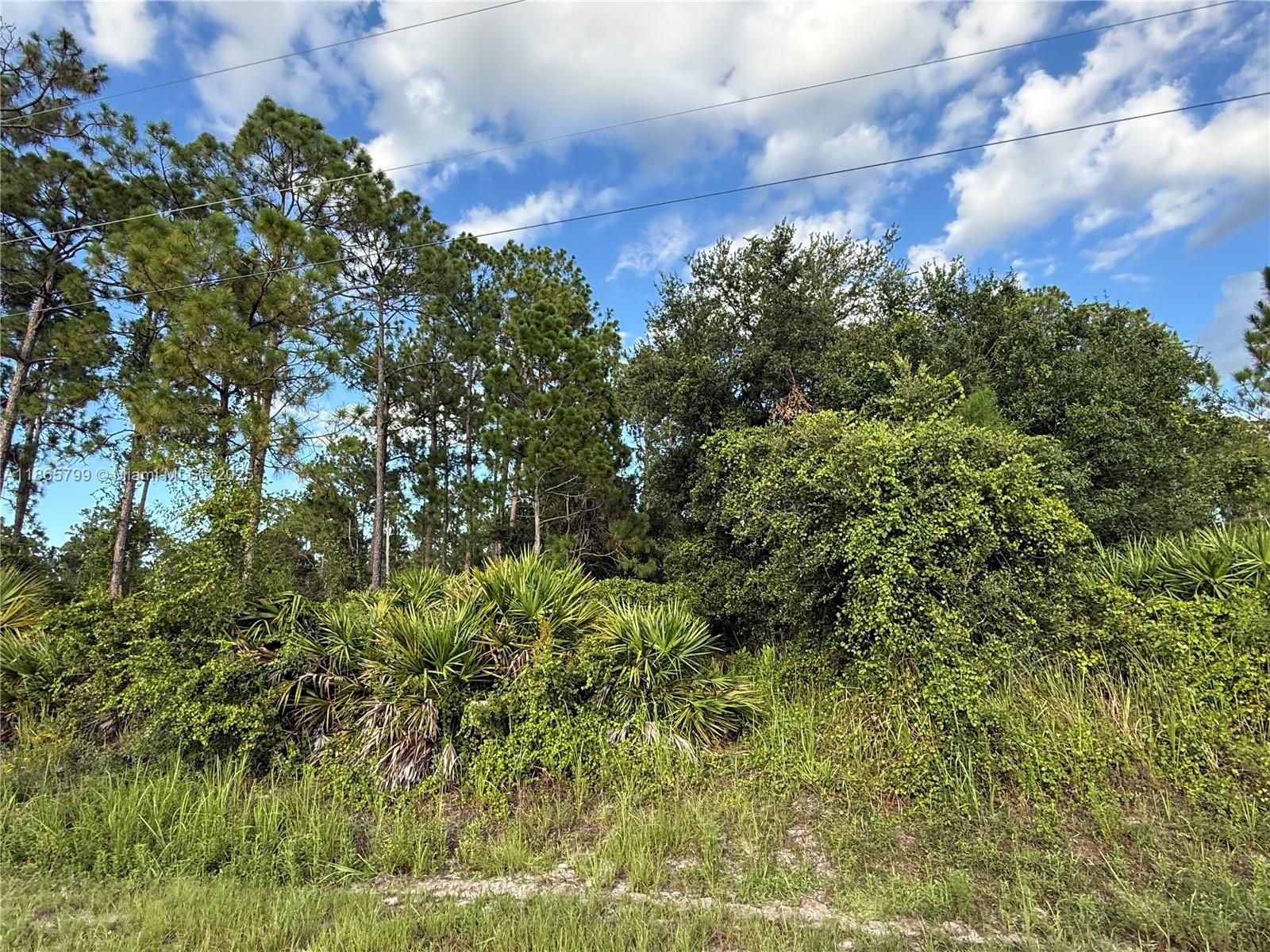 See details / sq. ft. $ 2025-08-26 0 Photo