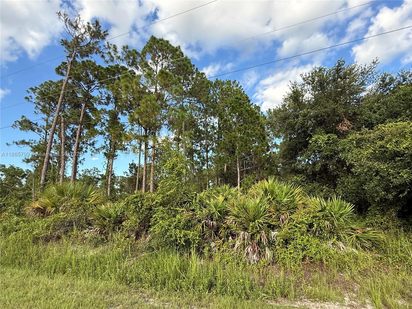 See details / sq. ft. $ 2025-08-26 0 Photo