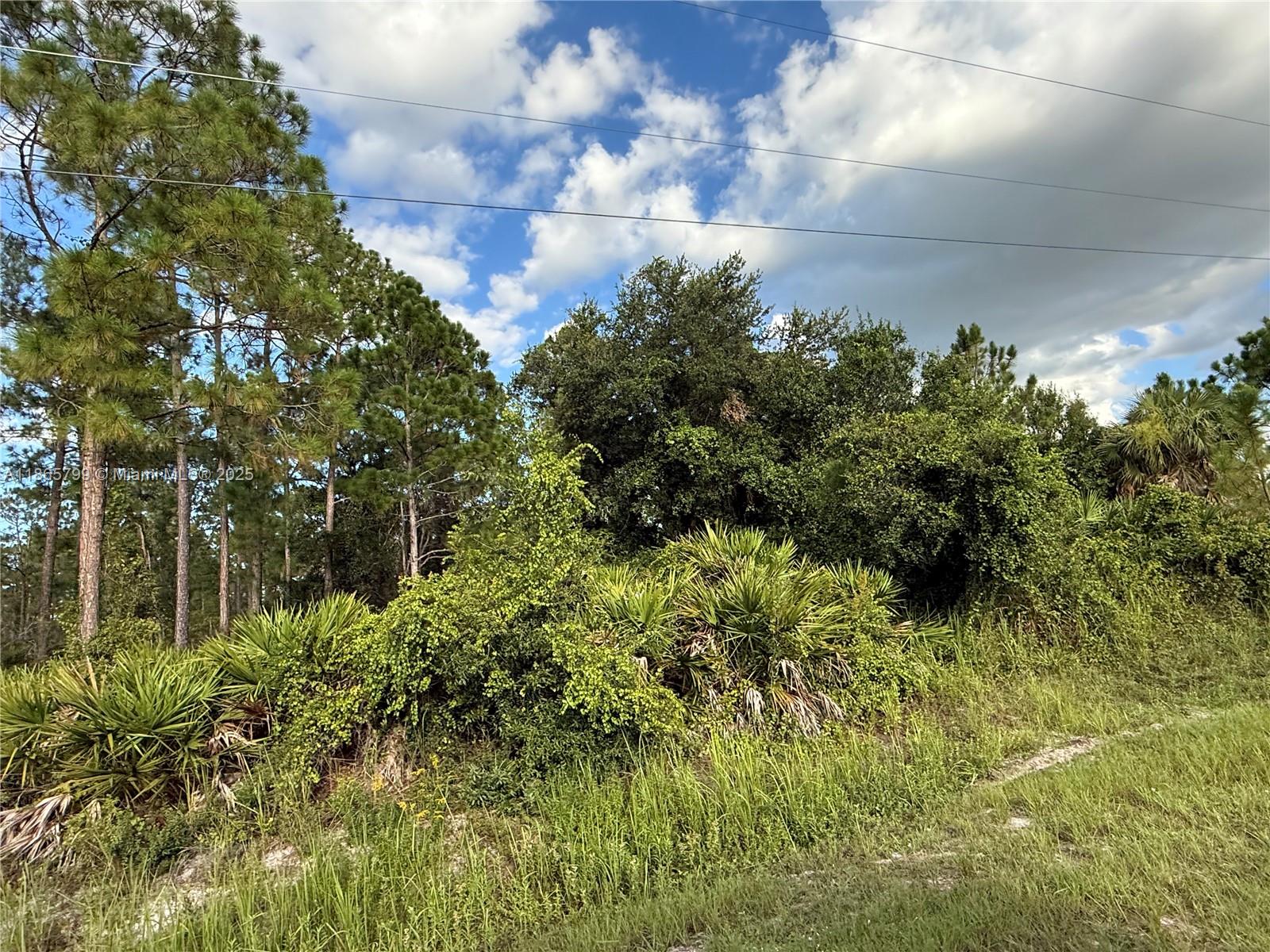 See details / sq. ft. $ 2025-08-26 0 Photo
