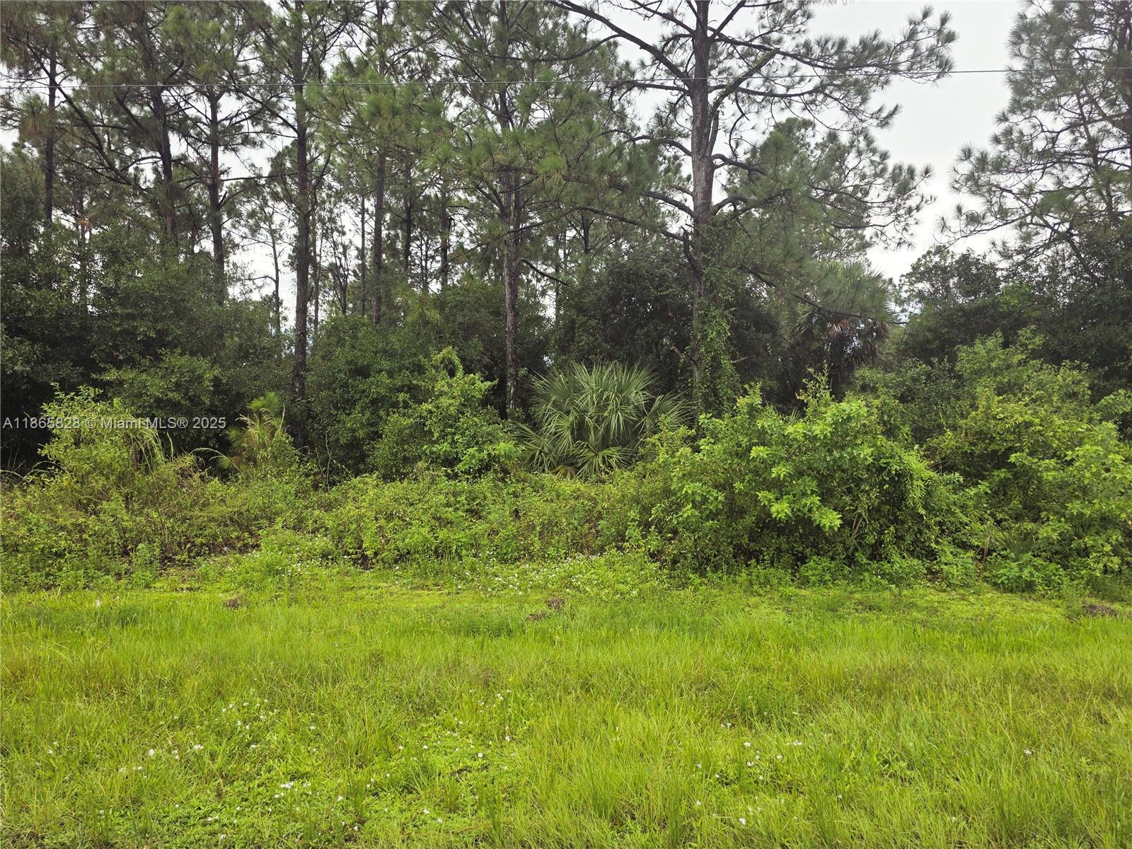 See details / sq. ft. $ 2025-08-26 0 Photo
