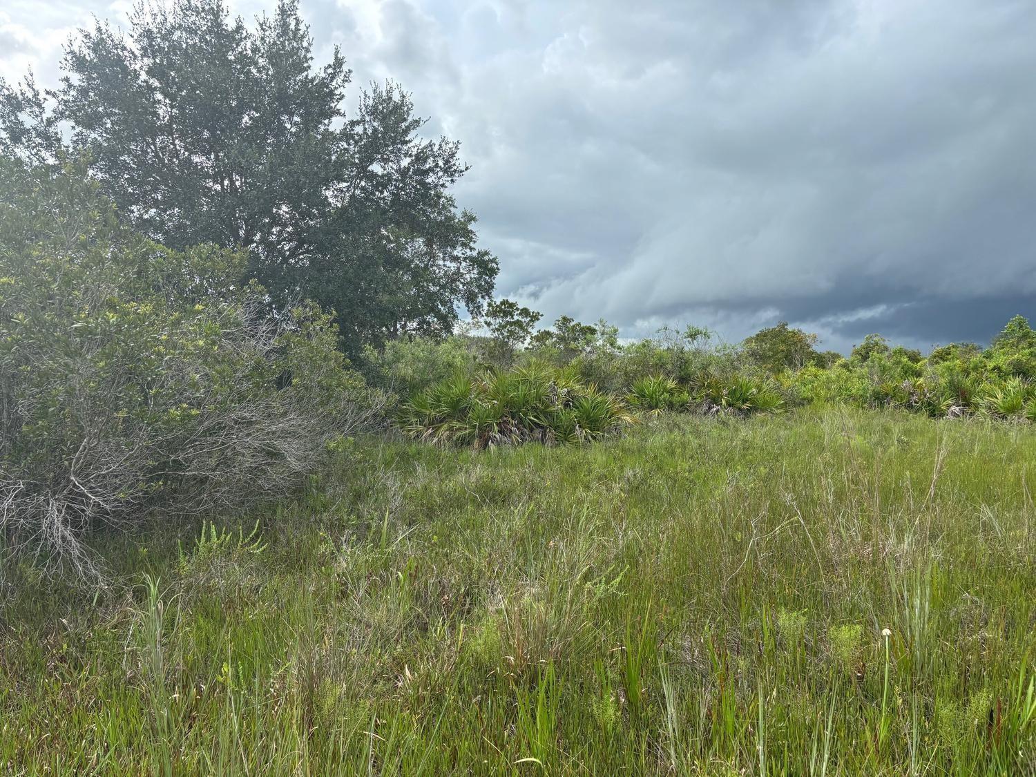   / 0  sq. ft. $ 2026-06-15 0 foto