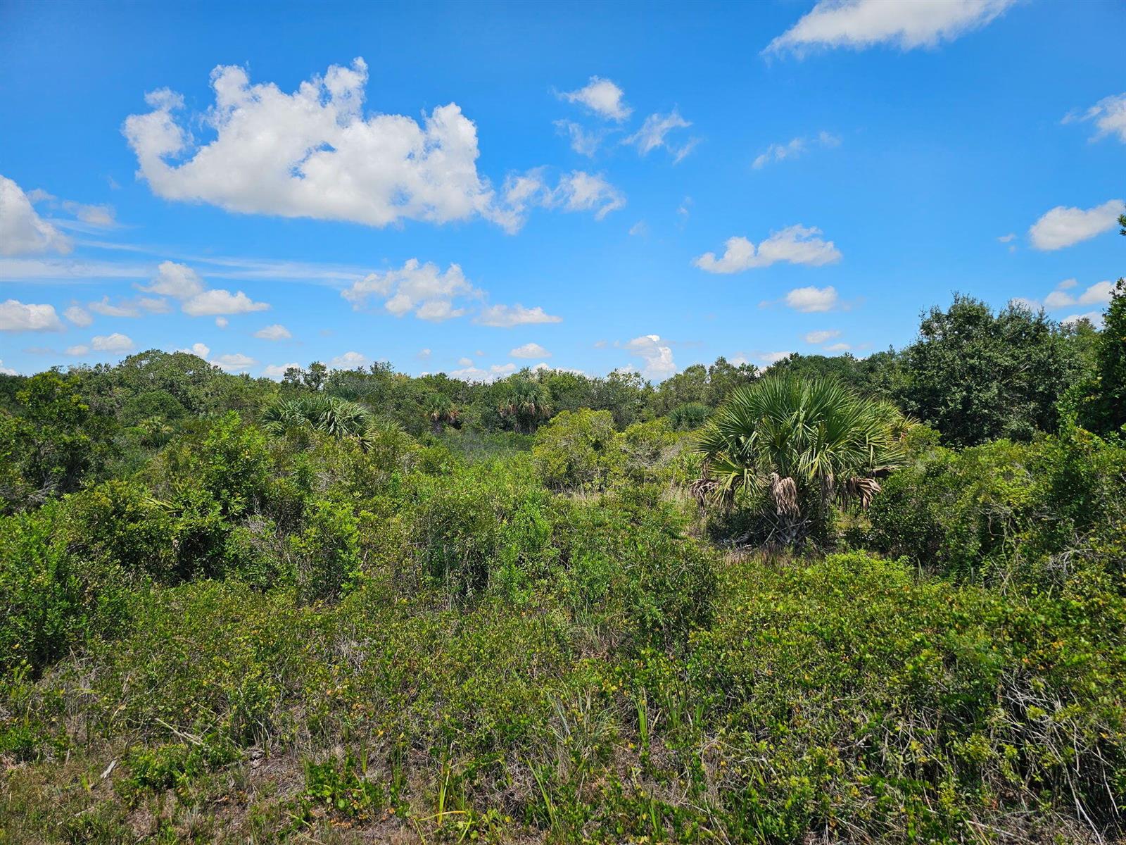   / 0  sq. ft. $ 2026-01-31 0 foto