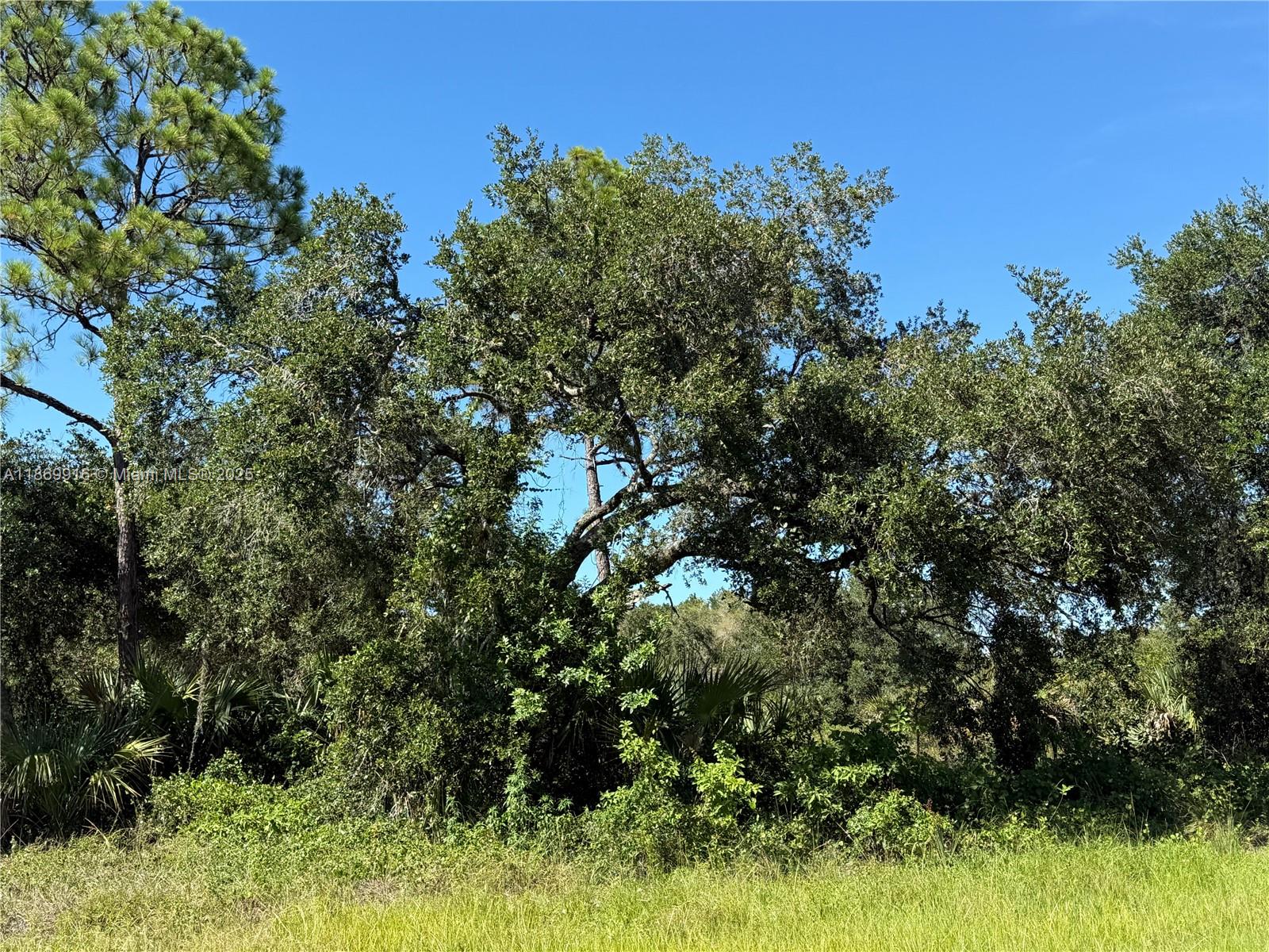 See details / sq. ft. $ 2025-09-01 0 Photo