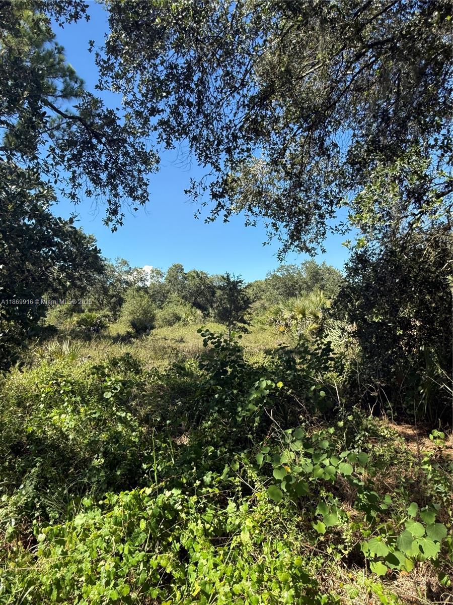 See details / sq. ft. $ 2025-09-01 0 Photo