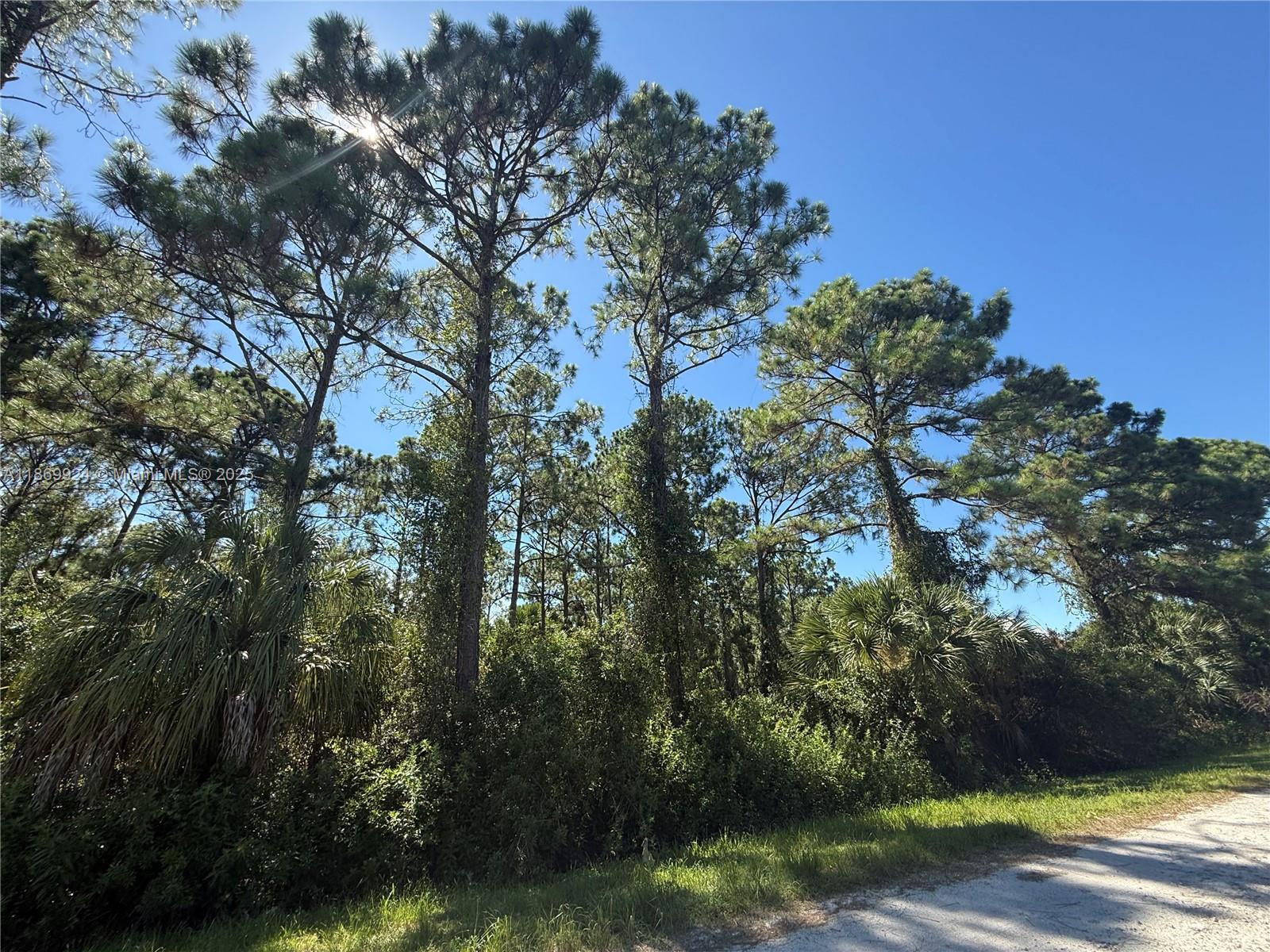 See details / sq. ft. $ 2025-09-01 0 Photo