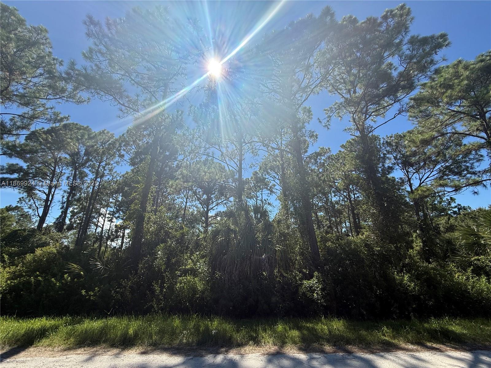 See details / sq. ft. $ 2025-09-01 0 Photo