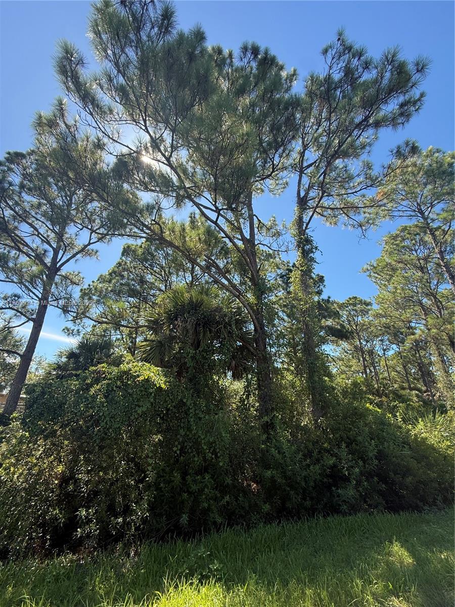 See details / sq. ft. $ 2025-09-01 0 Photo