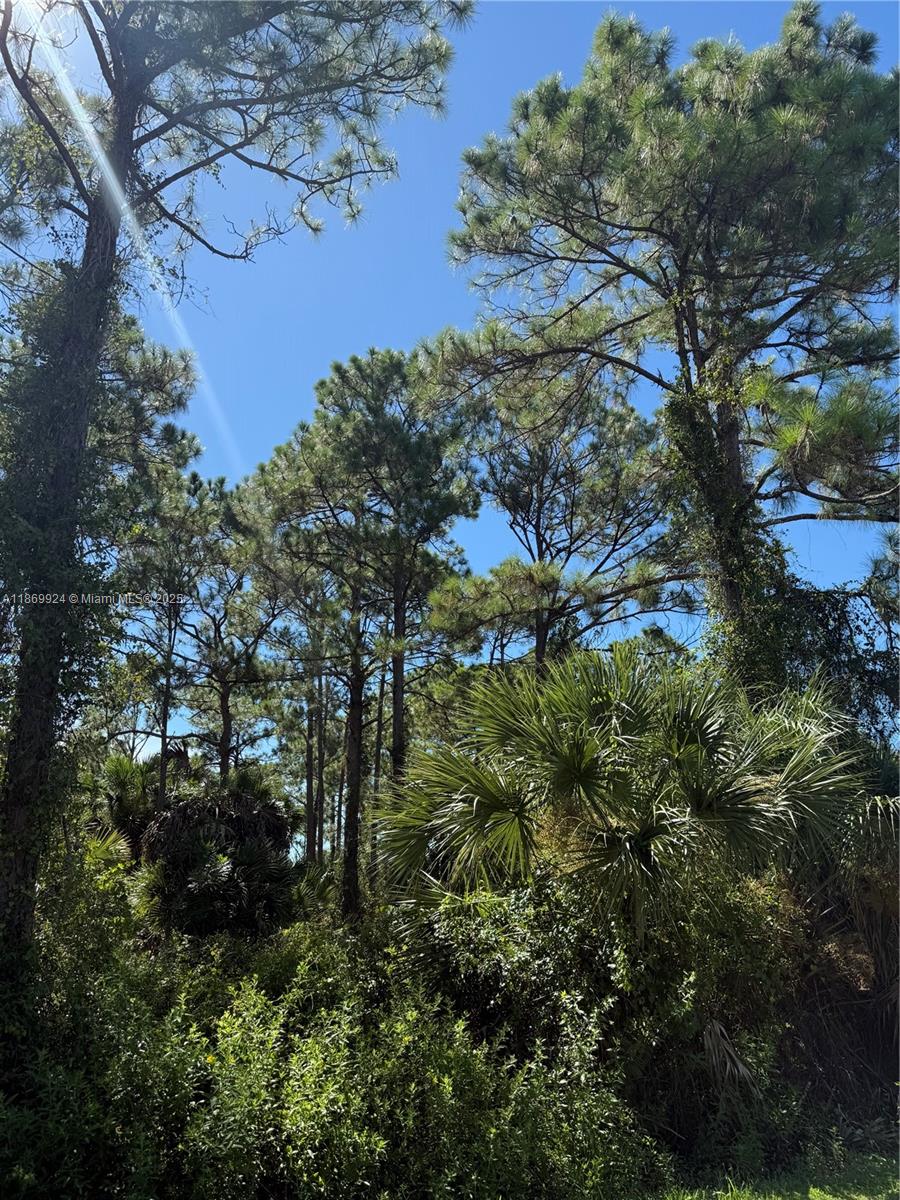 See details / sq. ft. $ 2025-09-01 0 Photo