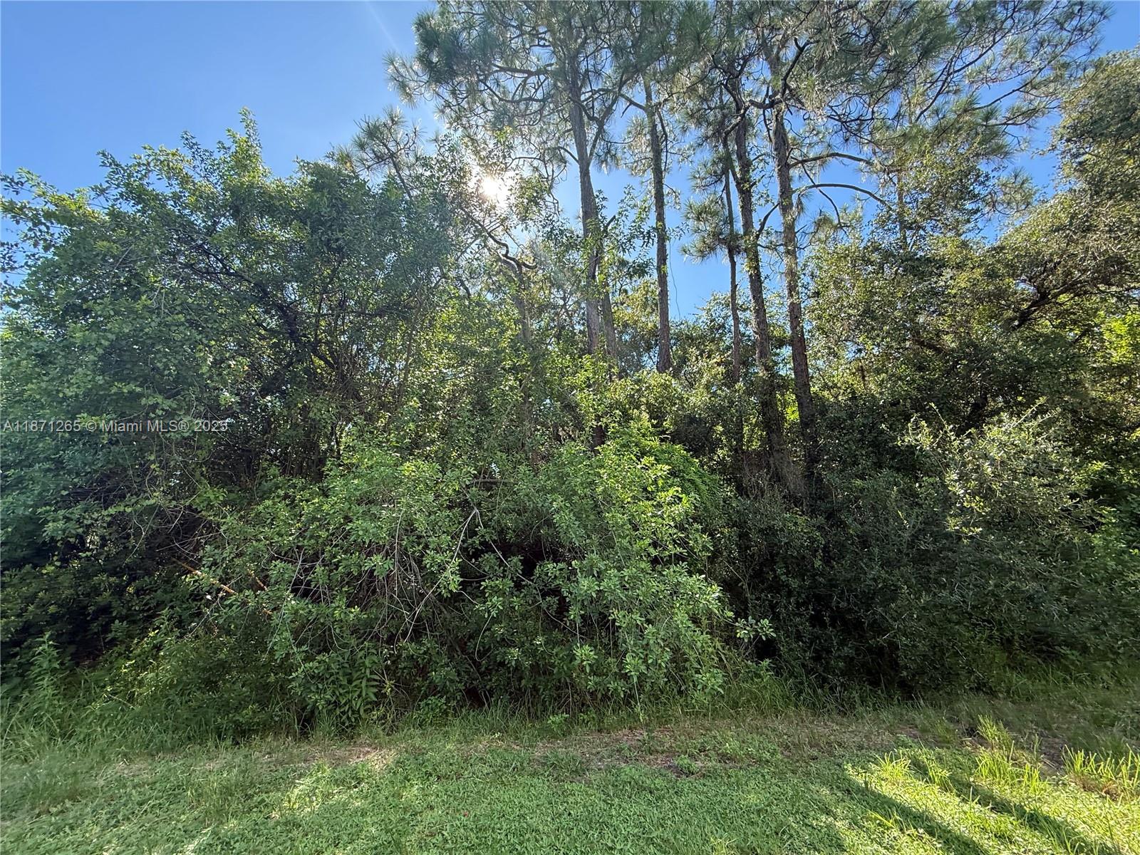 See details / sq. ft. $ 2025-09-03 0 Photo