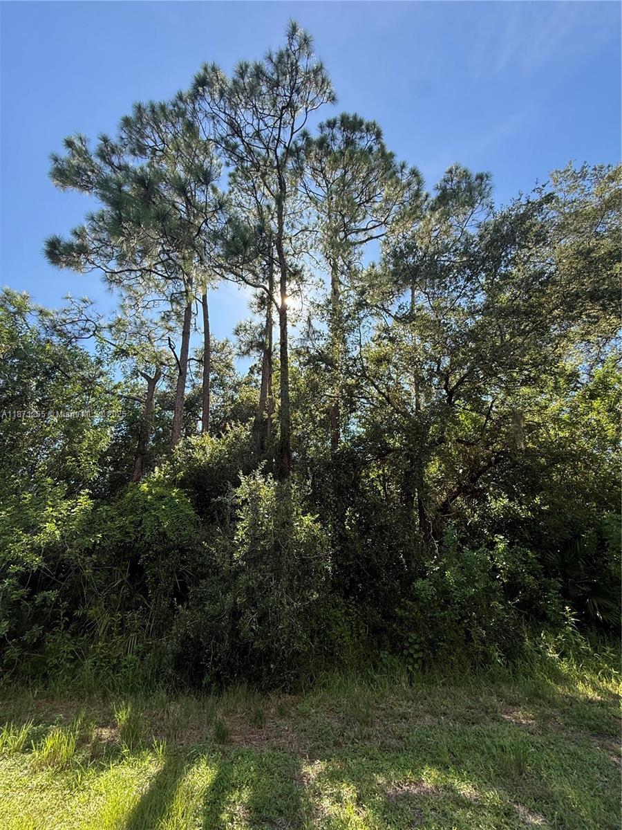 See details / sq. ft. $ 2025-09-03 0 Photo