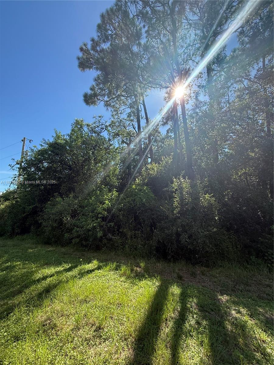 See details / sq. ft. $ 2025-09-03 0 Photo
