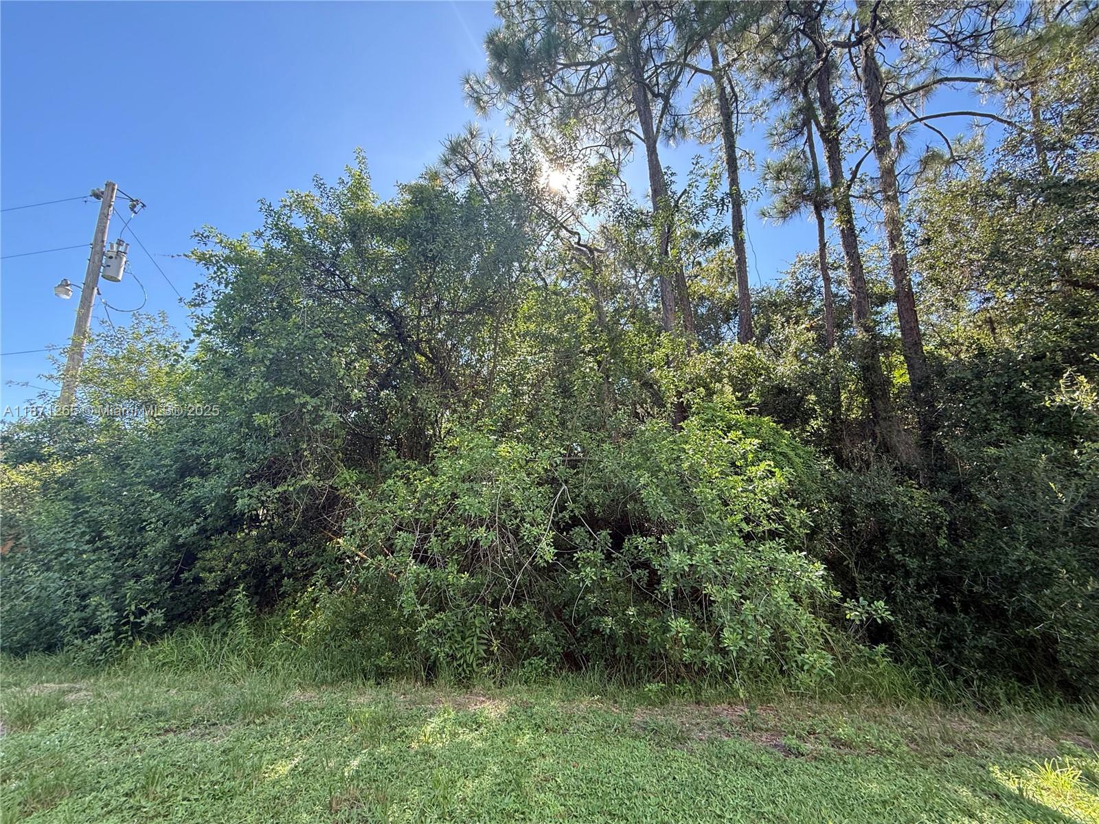See details / sq. ft. $ 2025-09-03 0 Photo