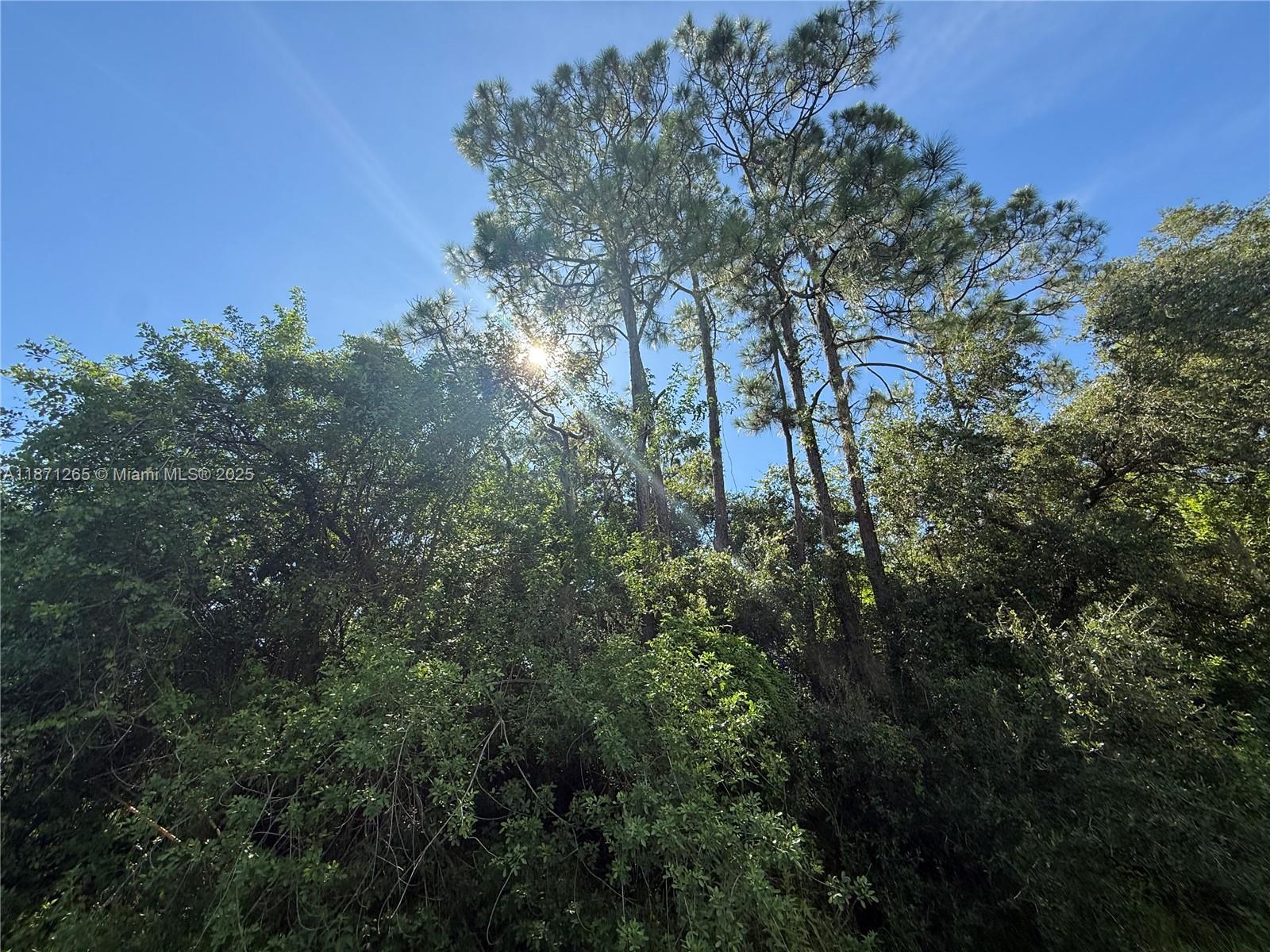 See details / sq. ft. $ 2025-09-03 0 Photo
