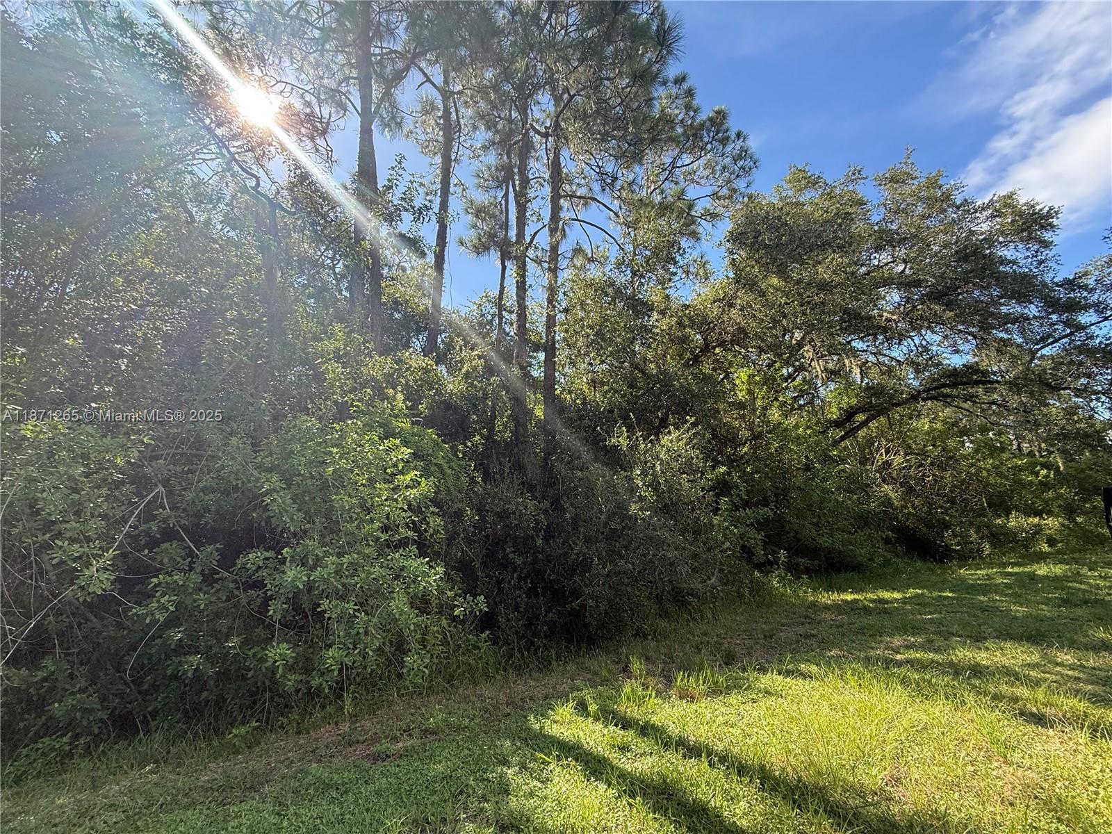 See details / sq. ft. $ 2025-09-03 0 Photo