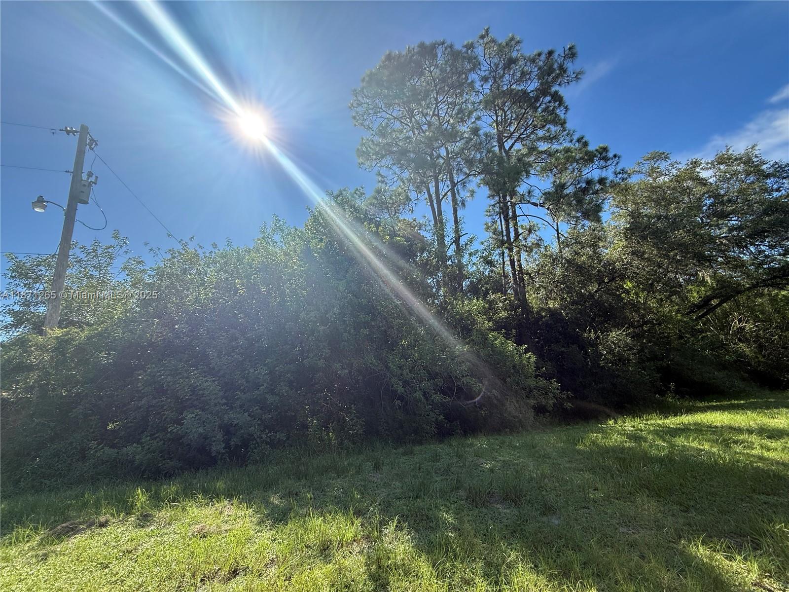 See details / sq. ft. $ 2025-09-03 0 Photo