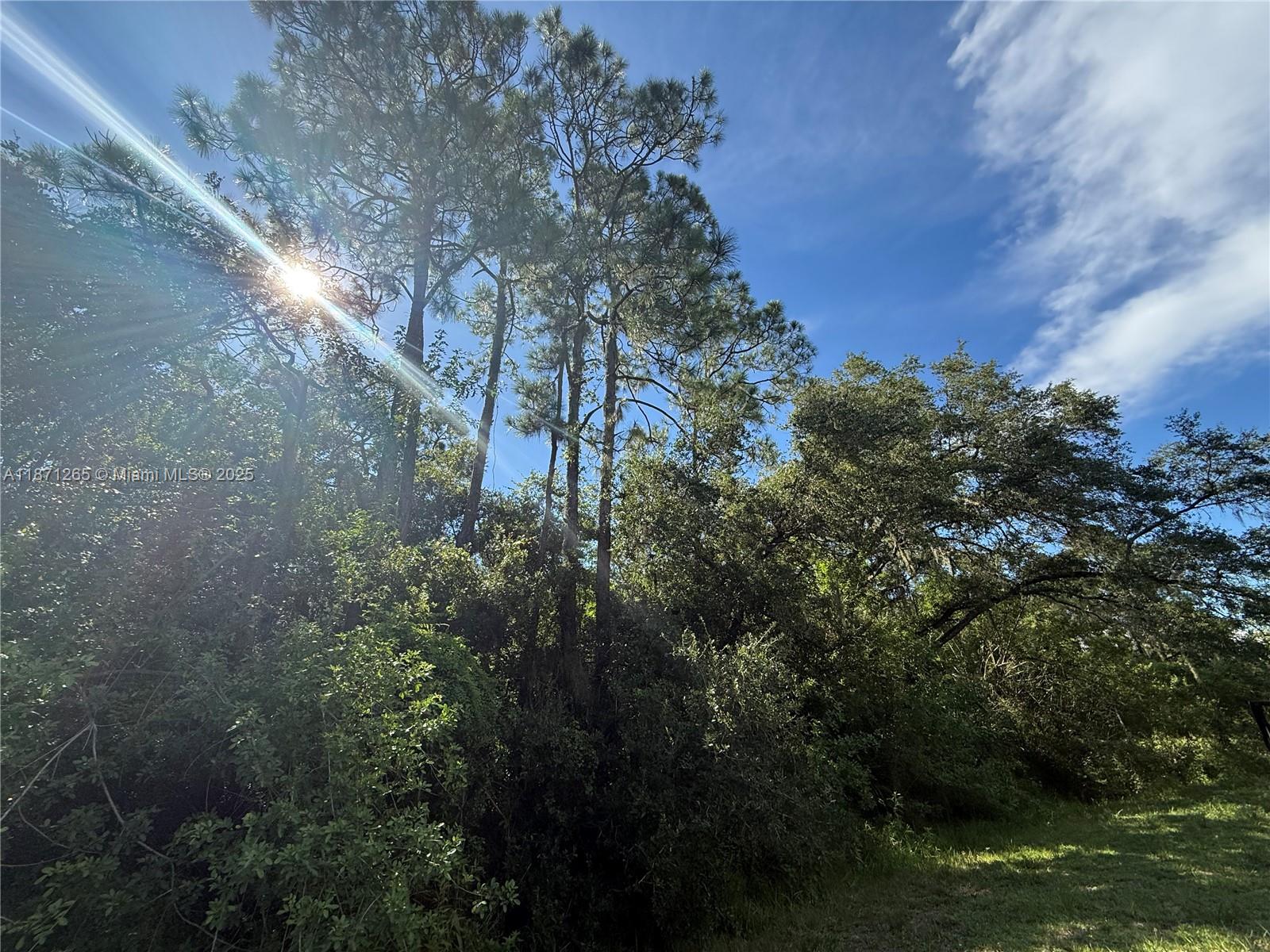 See details / sq. ft. $ 2025-09-03 0 Photo