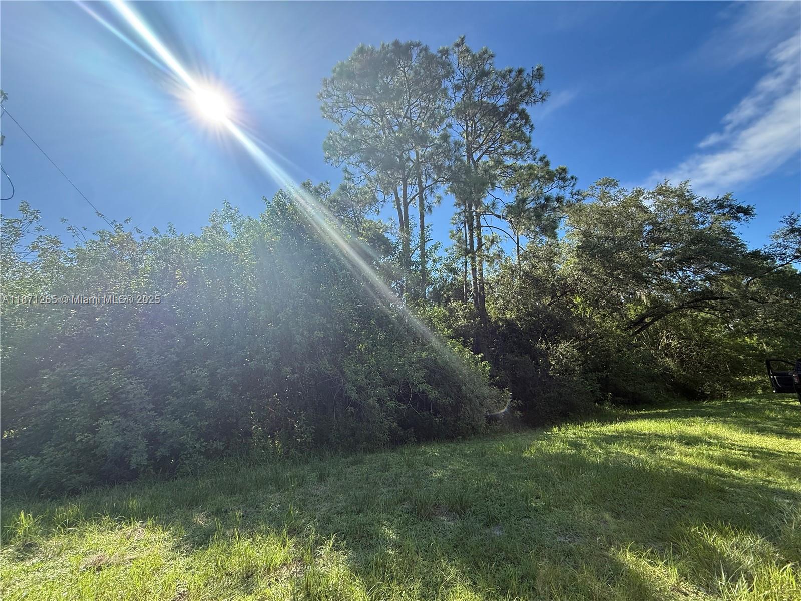 See details / sq. ft. $ 2025-09-03 0 Photo